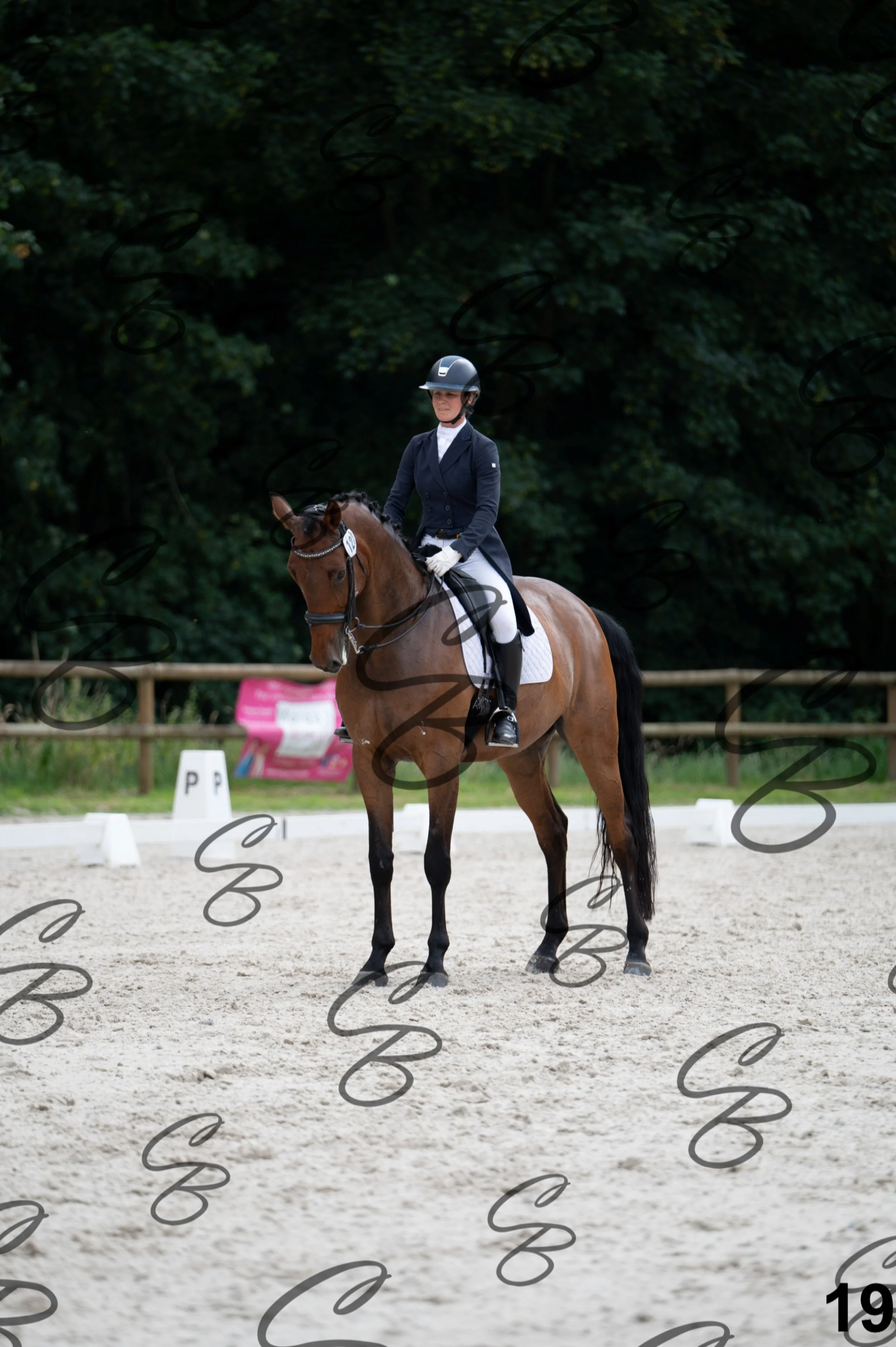 2026.07.04 - 2 Charlotte Tournay-1.jpg