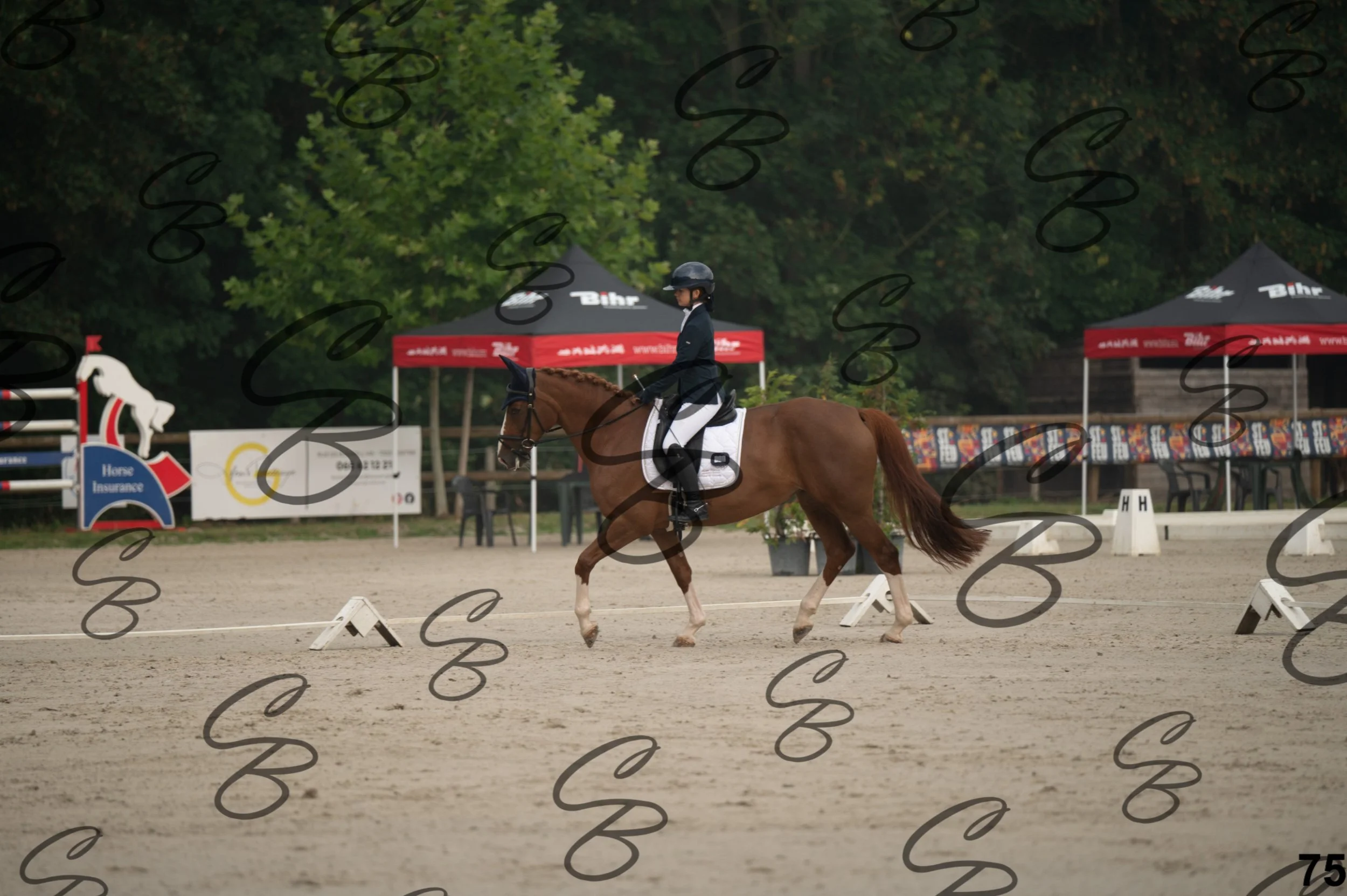 2026.08.15 - Louchier - GHO-111.jpg