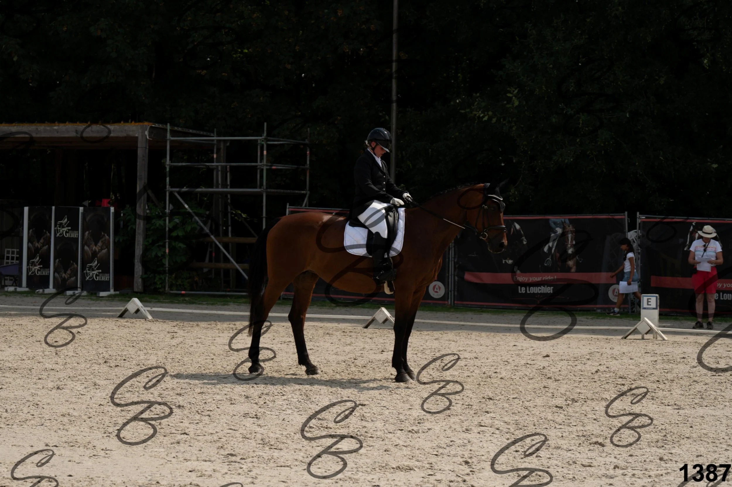 2026.08.15 - Louchier - GHO-1459.jpg