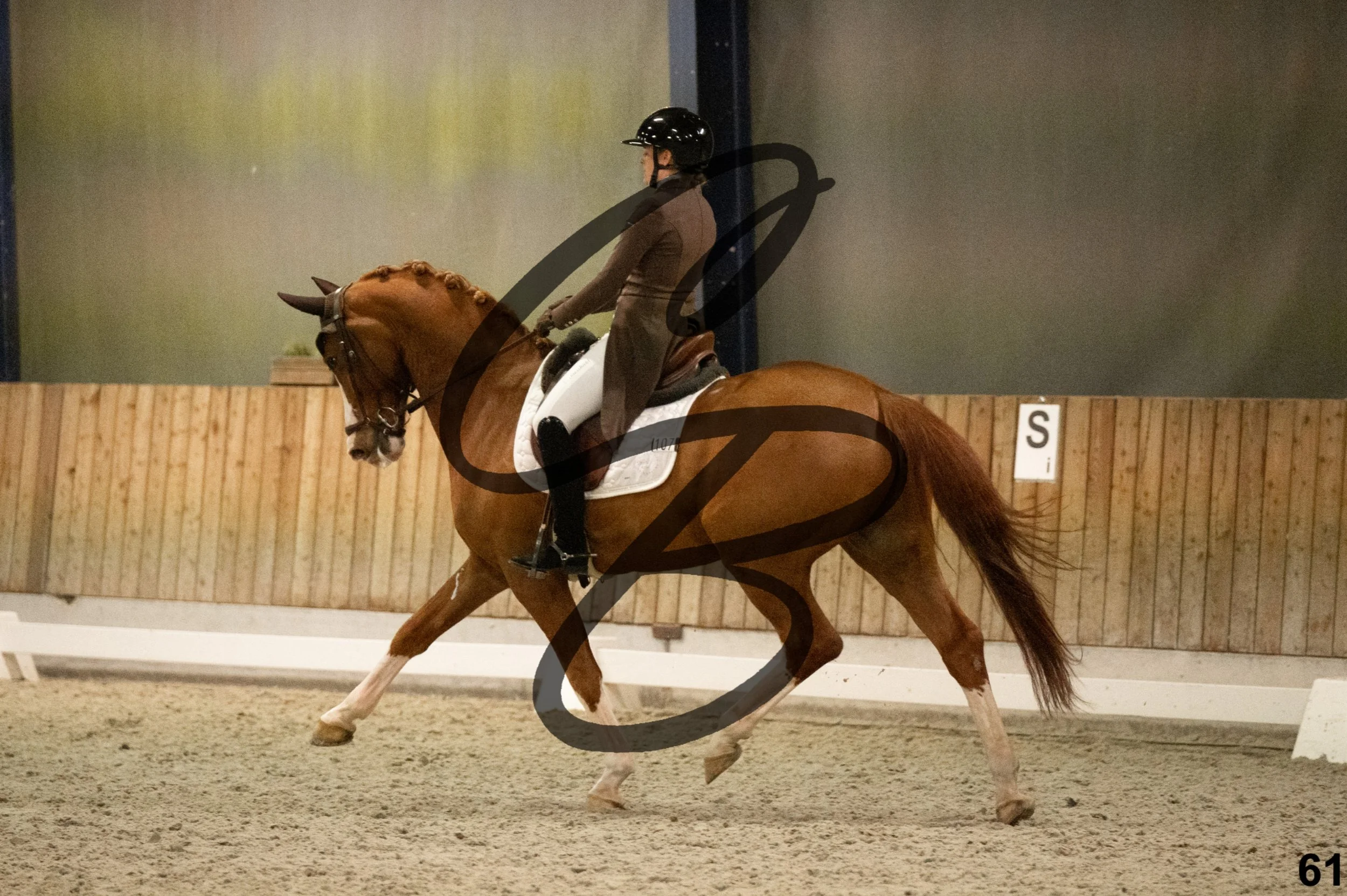 2026.03.22 - niv6 - Inter 1-61.jpg