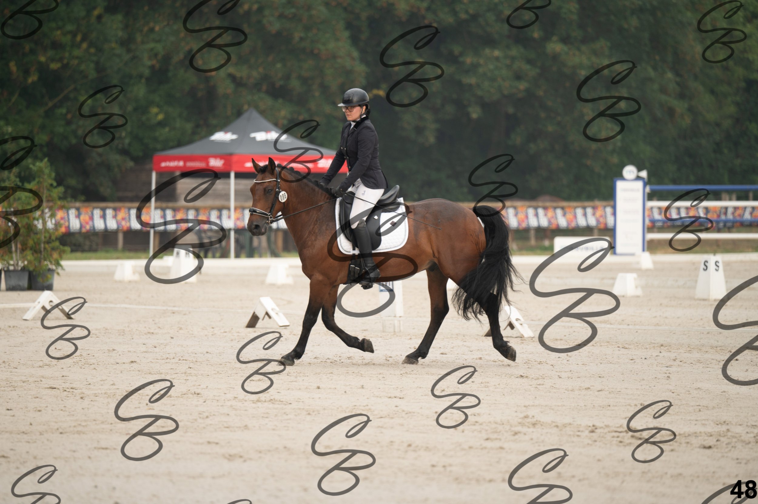 2026.08.15 - Louchier - GHO-74.jpg