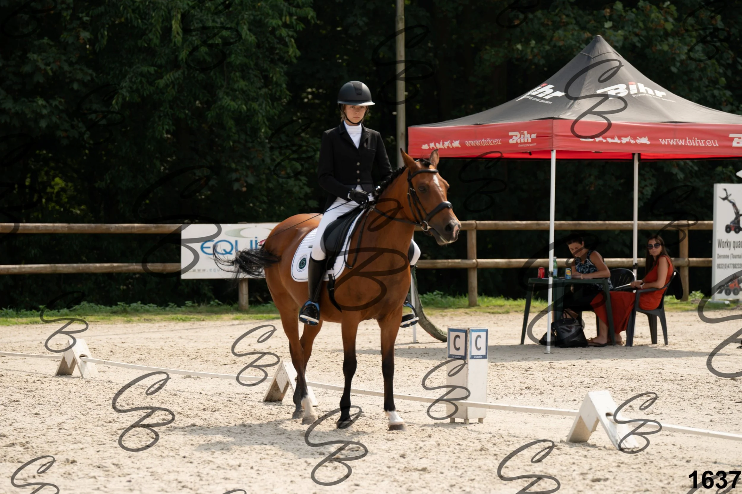 2026.08.15 - Louchier - GHO-1852.jpg