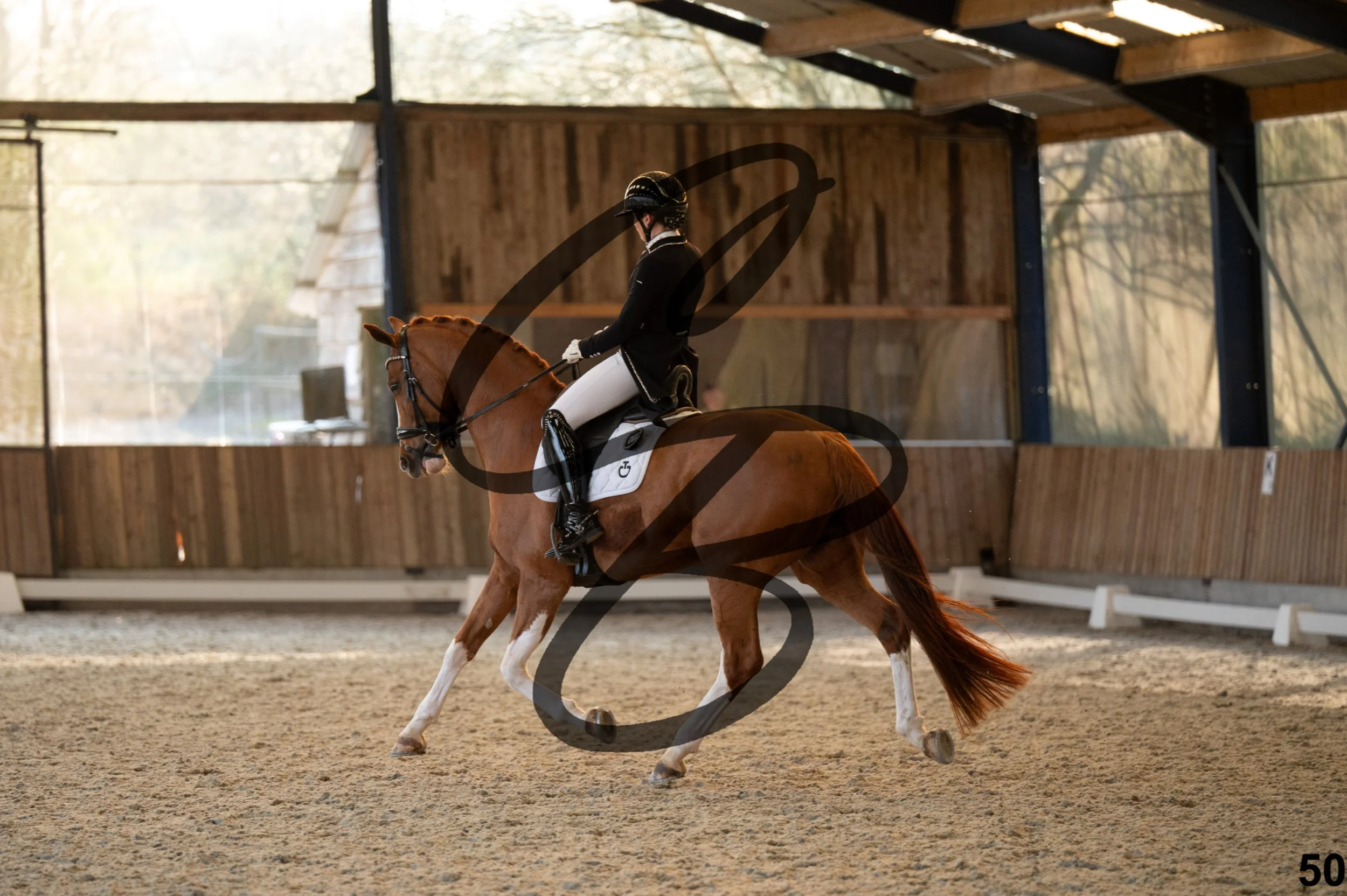 2026.03.22 - grand prix U25-50.jpg