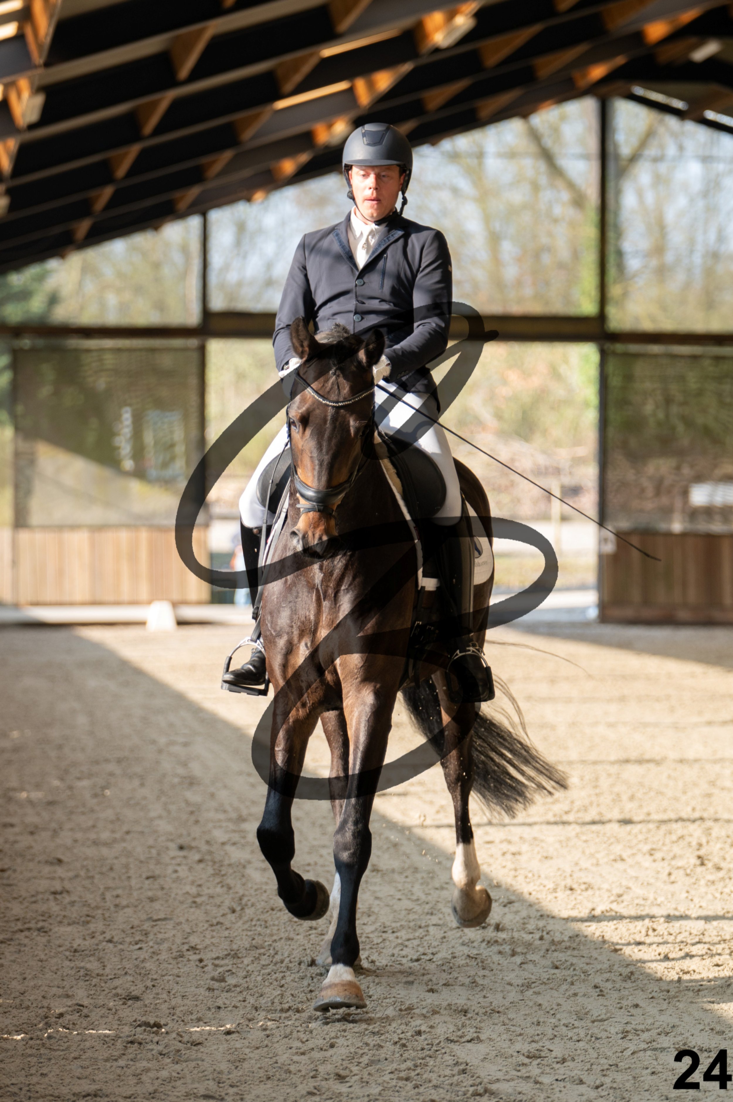 2026.03.22 - jeunes chevaux - 6ans-24.jpg