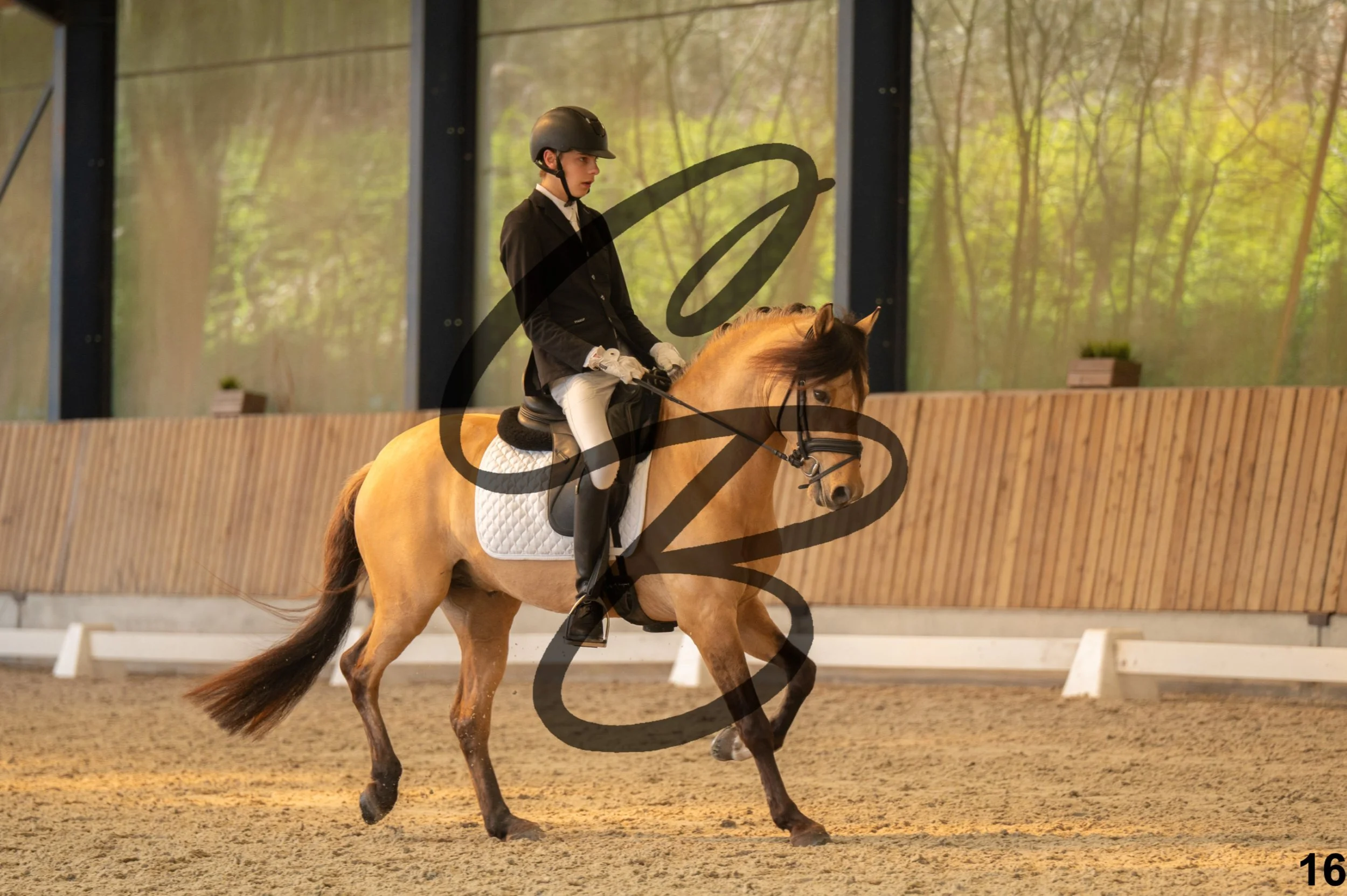 2026.03.22 - Niv3 - Pony individual test-16.jpg