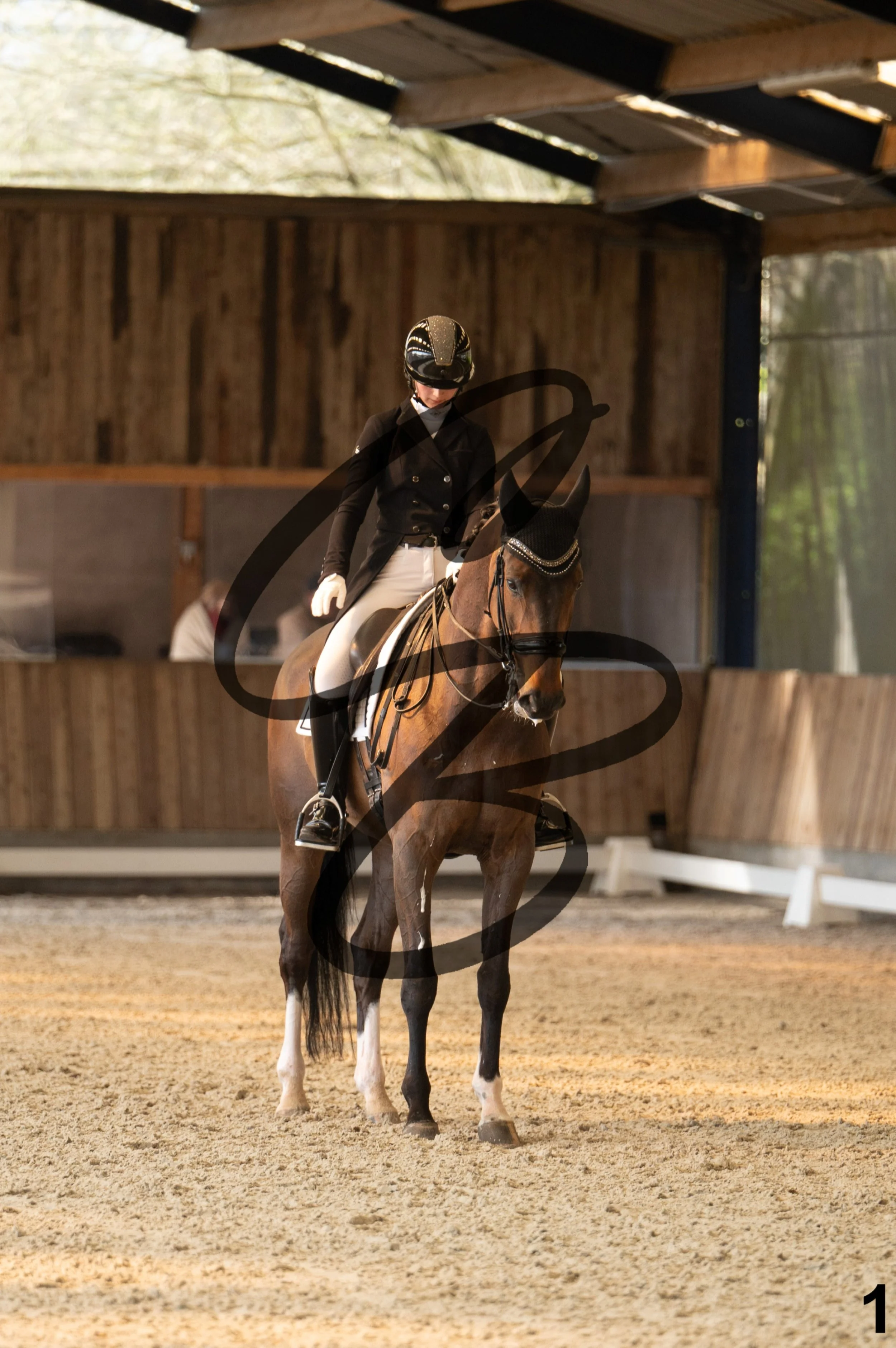 2026.03.22 - Niv4 - junior team test-1.jpg