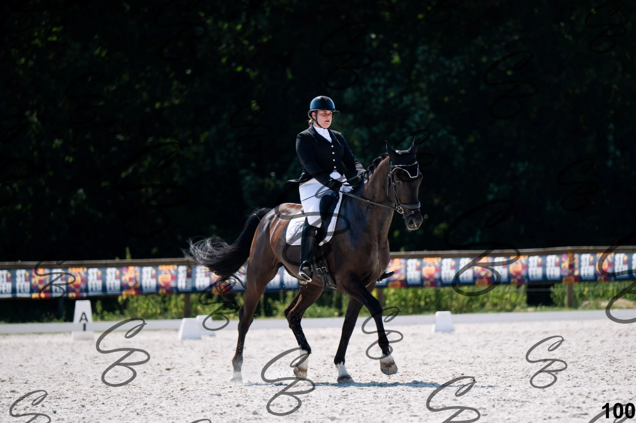 2026.07.12 - Niveau 2 - N2.4-100.jpg