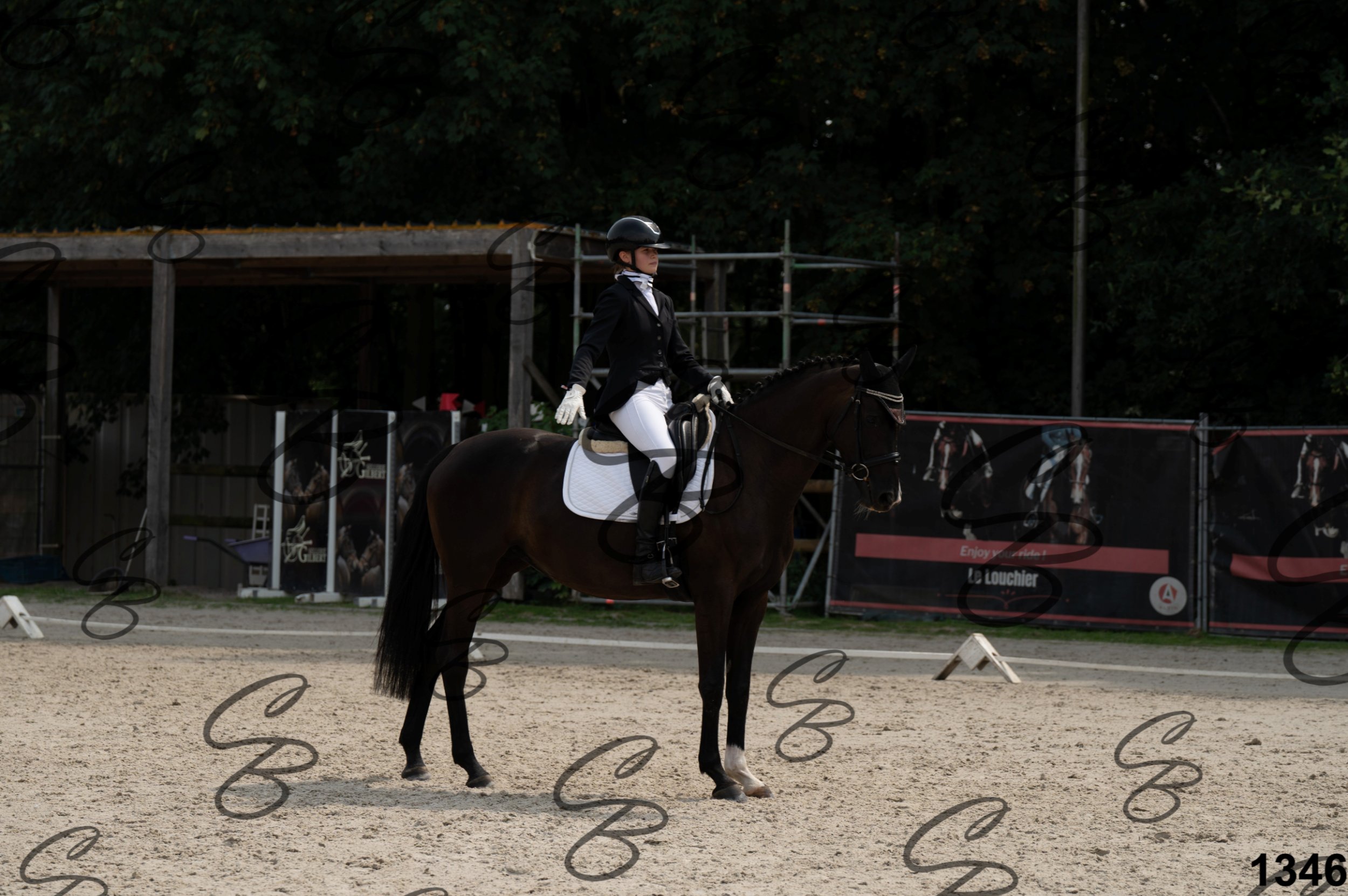 2026.08.15 - Louchier - GHO-1336.jpg