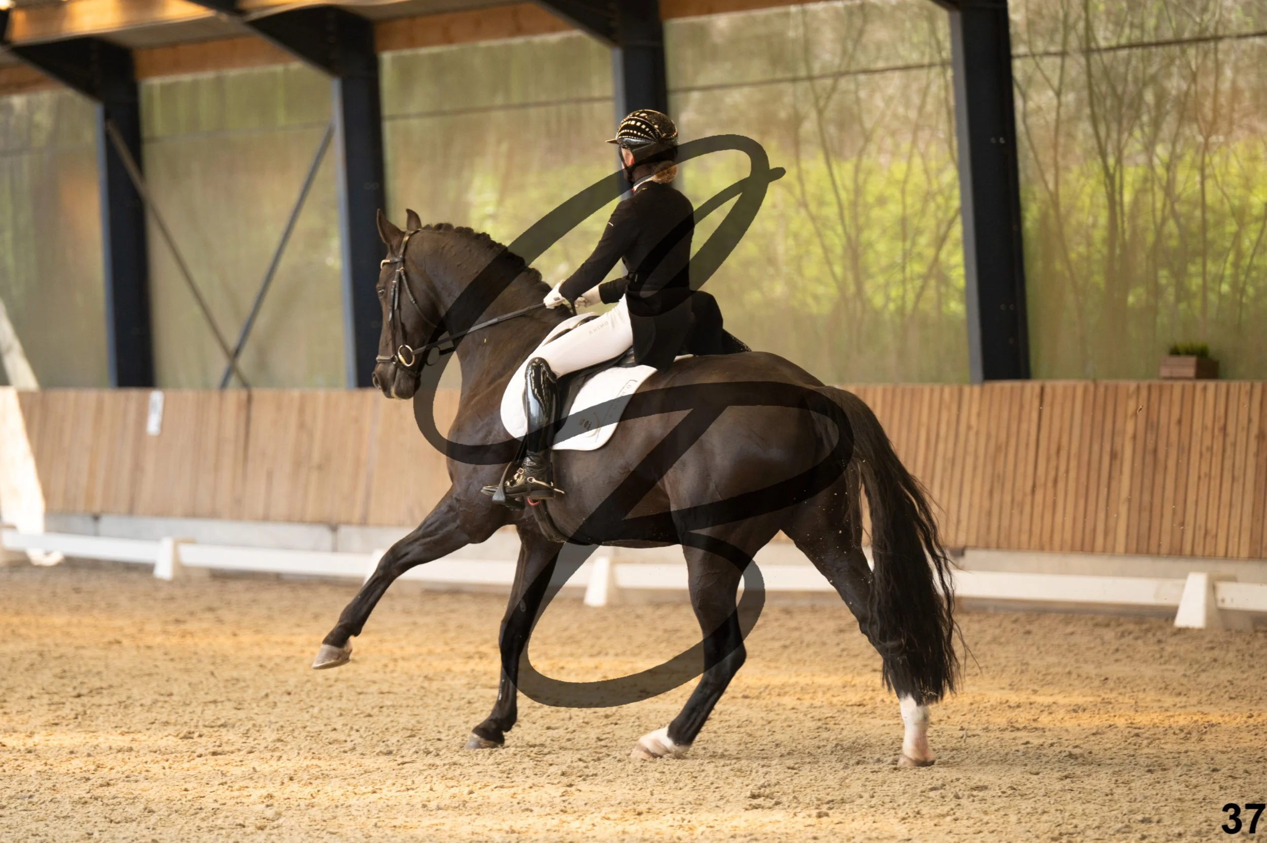 2026.03.22 - Niv5 - Young rider team-37.jpg