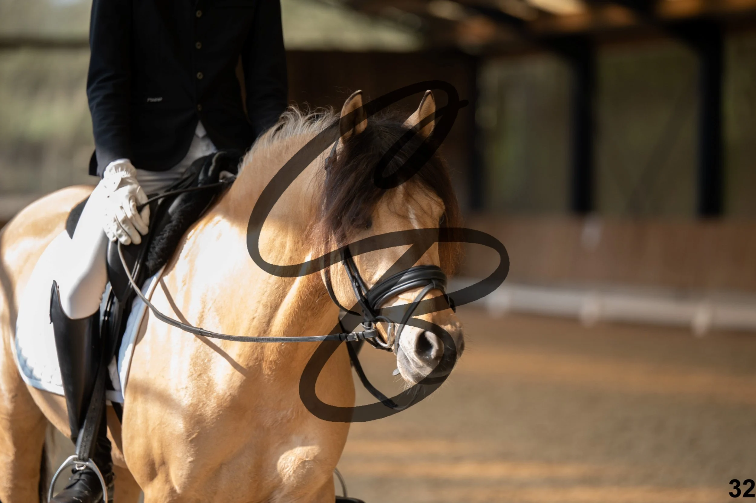 2026.03.22 - Niv3 - pony team test-32.jpg