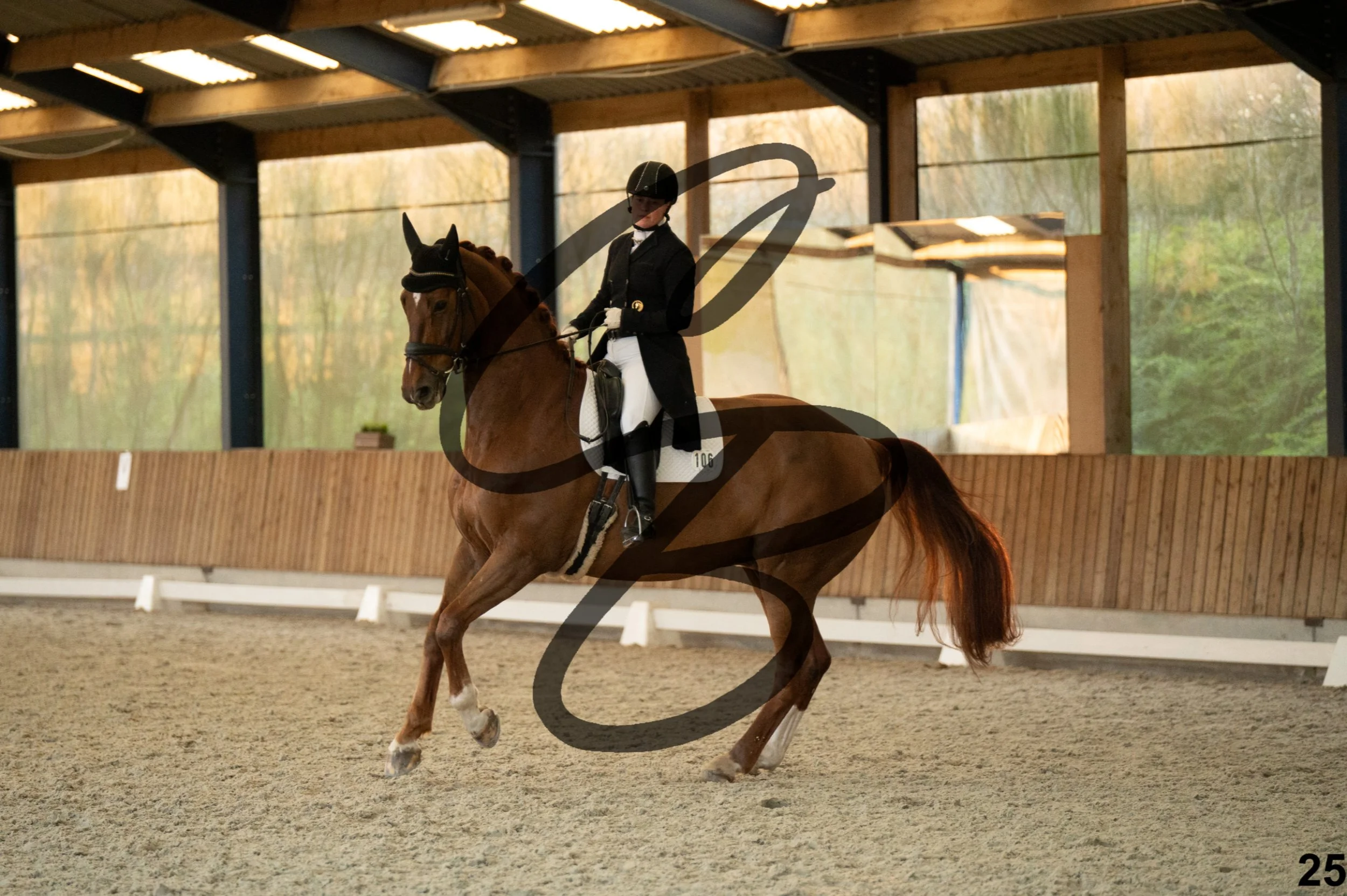 2026.03.22 - niv5 - saint georges-25.jpg