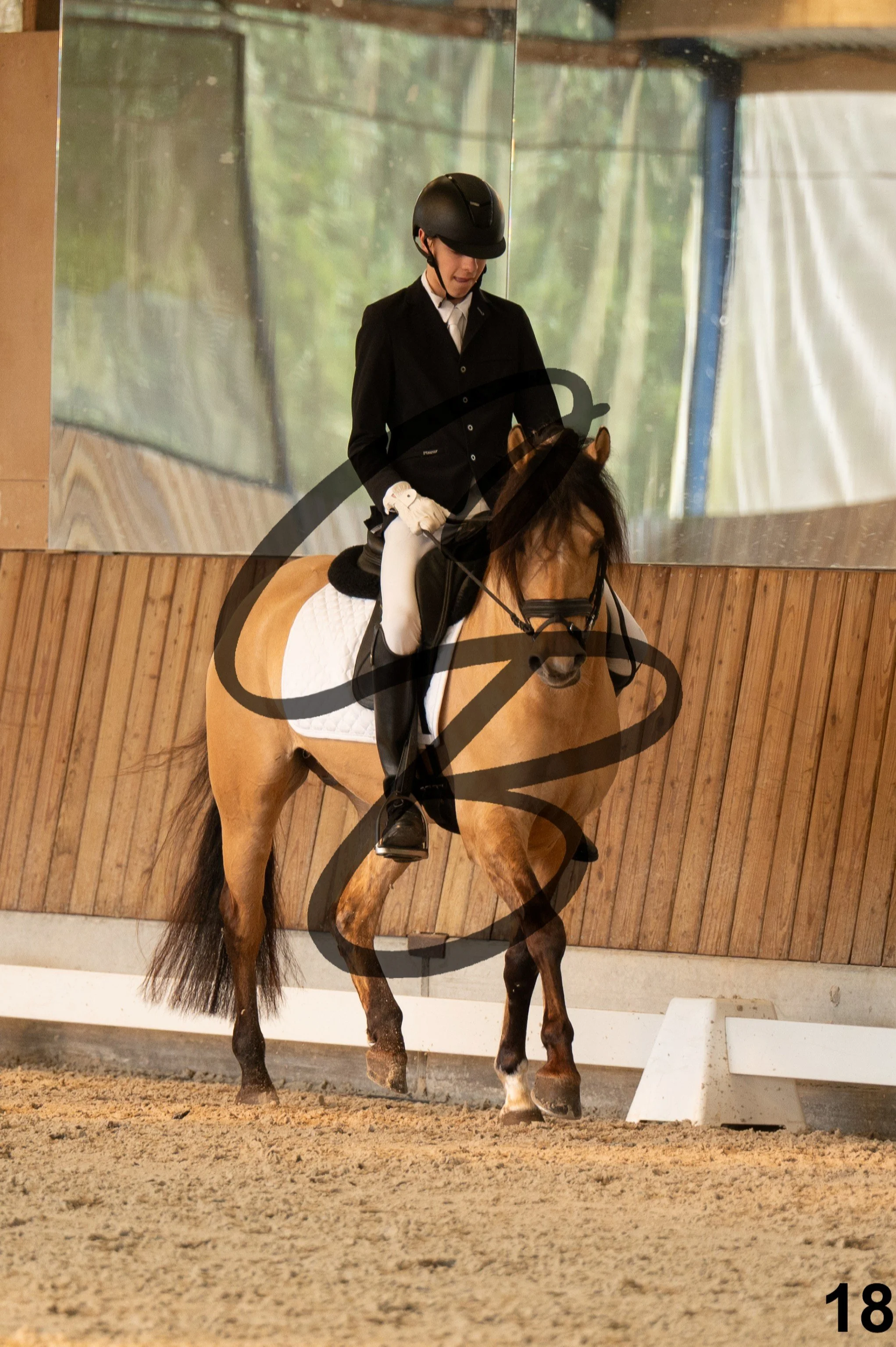 2026.03.22 - Niv3 - pony team test-18.jpg