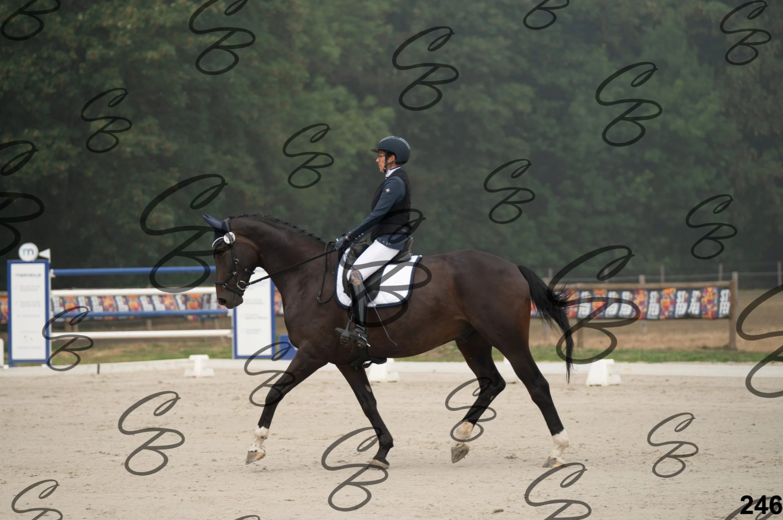 2026.08.15 - Louchier - GHO-351.jpg