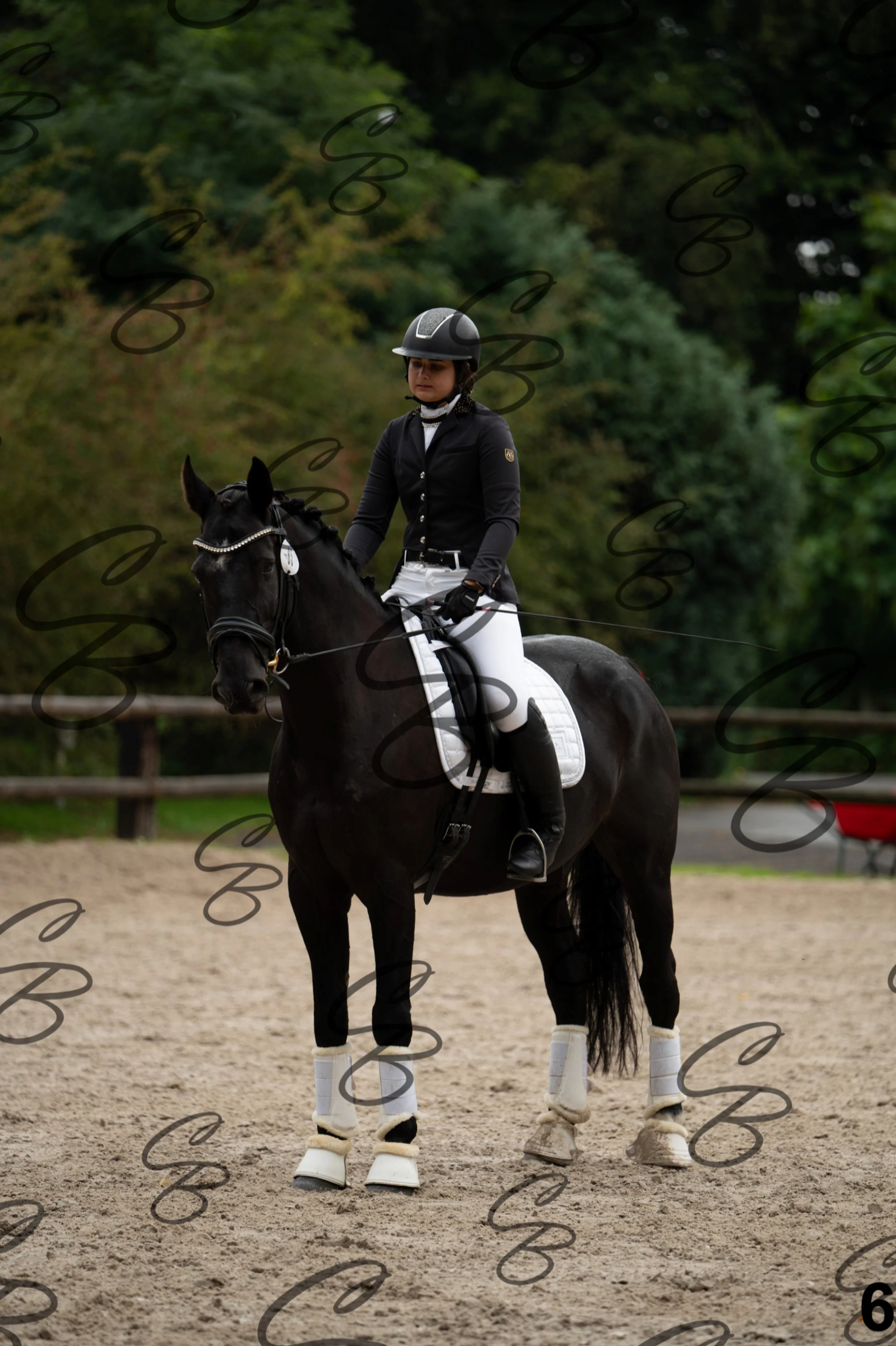 2026.09.13 - Reka-6.jpg