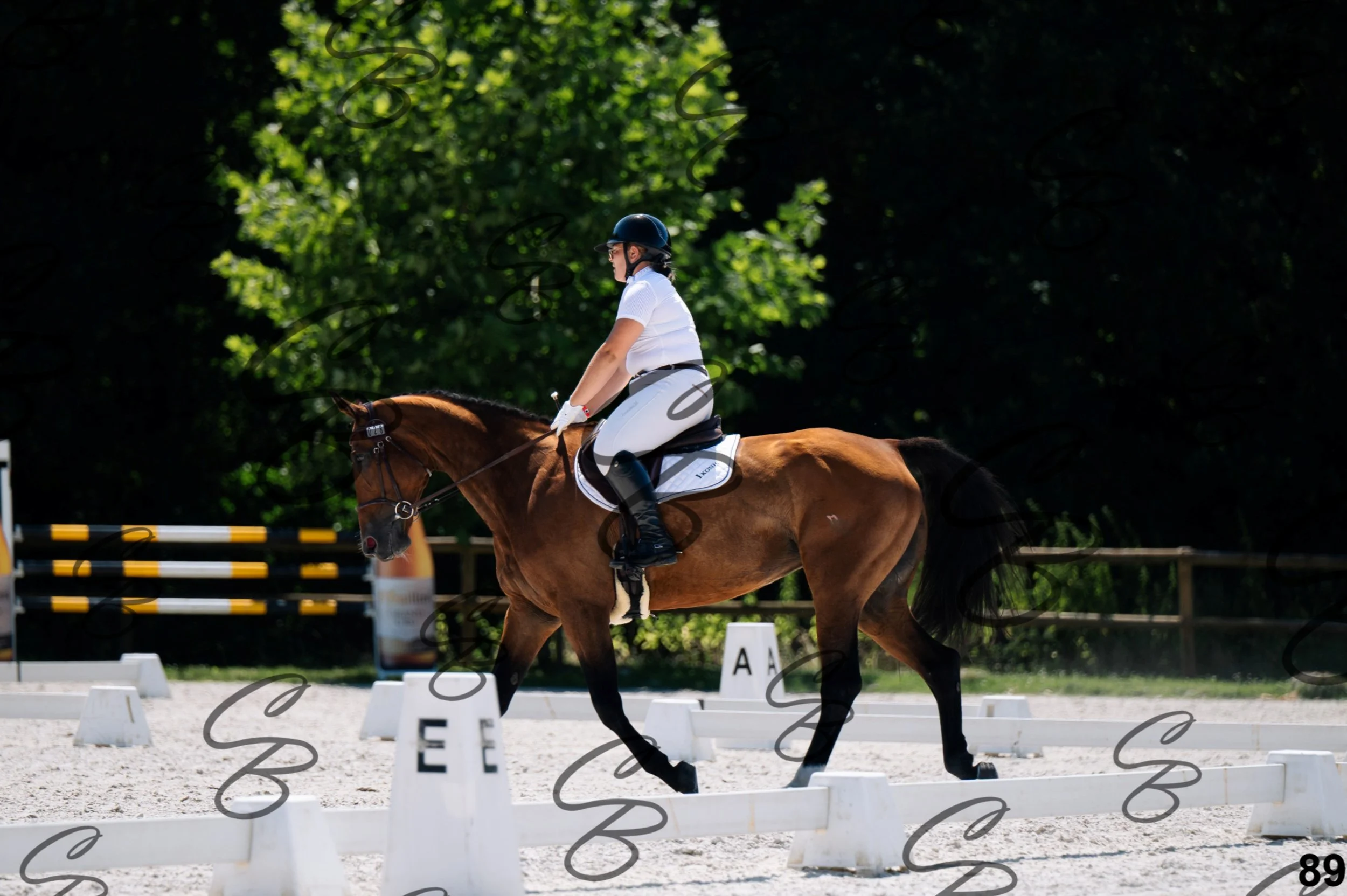 2026.07.12 - Niveau 1 - N1.5-89.jpg