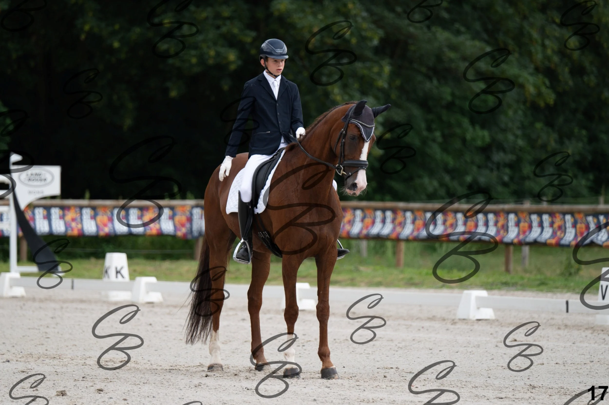2026.07.04 - Aumeric Belvaux-8.jpg
