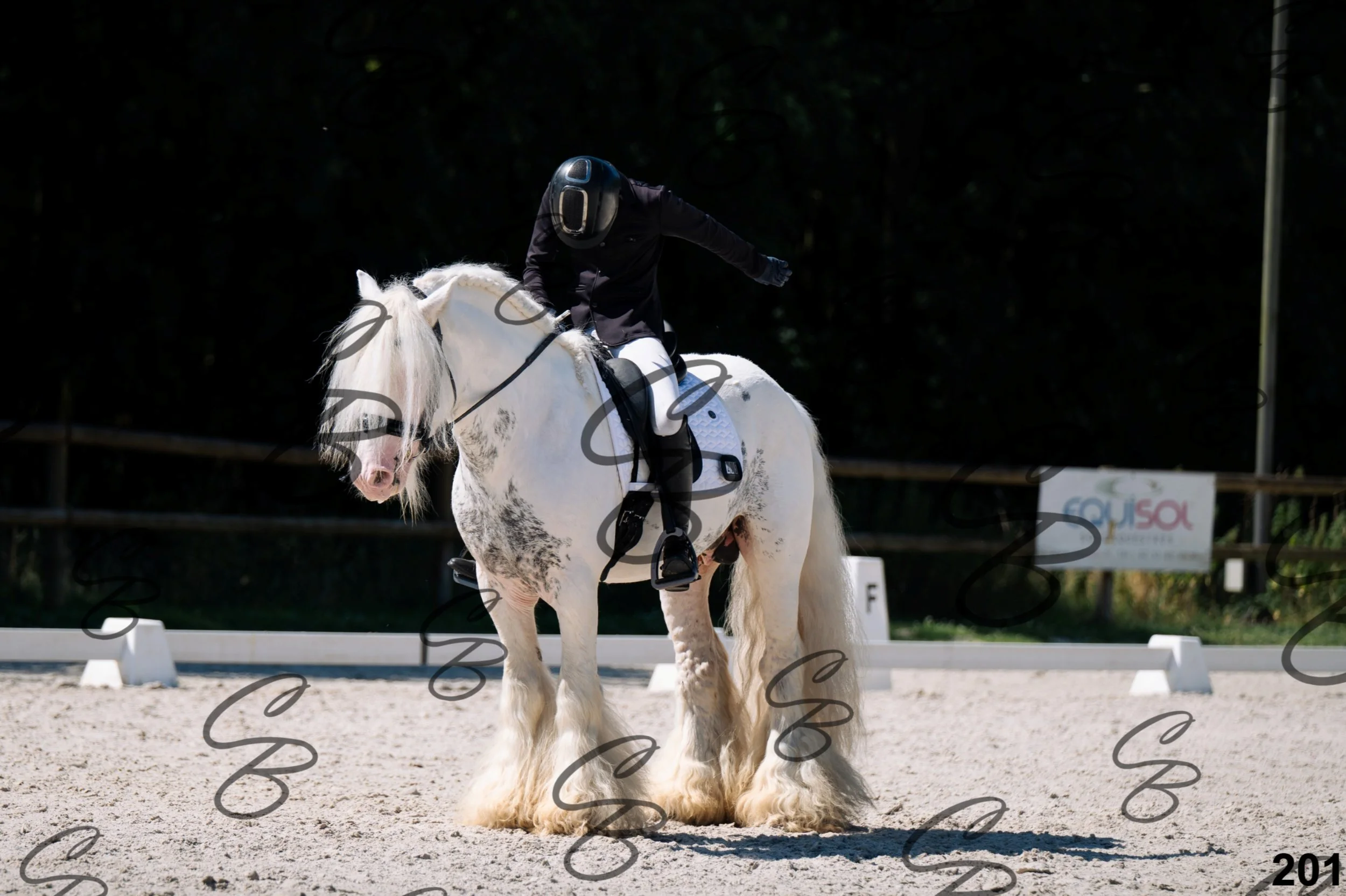 2026.07.12 -106 Niveau Initiation Poneys - Ini.6-18.jpg
