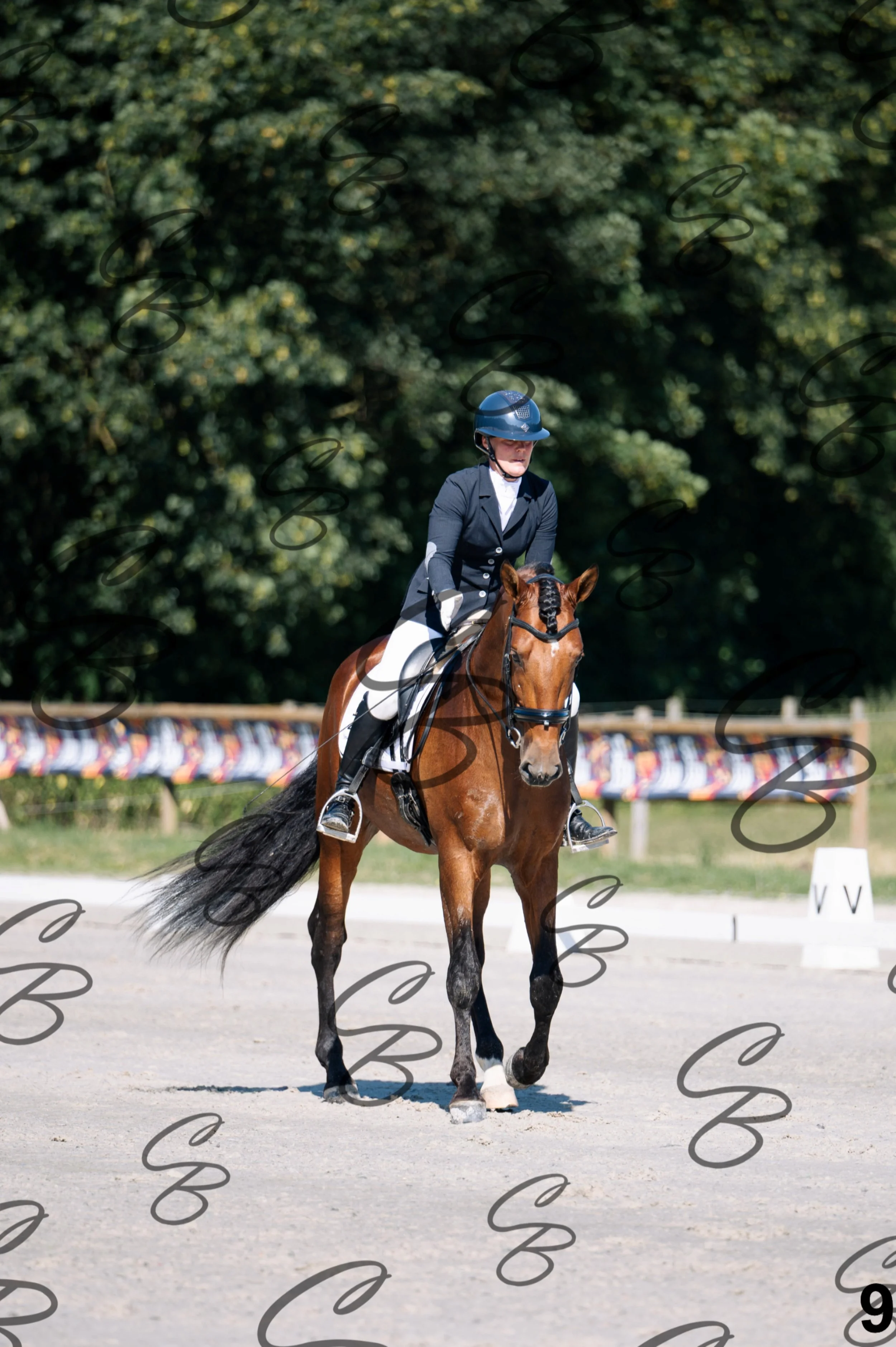 2026.07.11 - 1 Primera - Jonge paarden - Jeunes chevaux -9.jpg