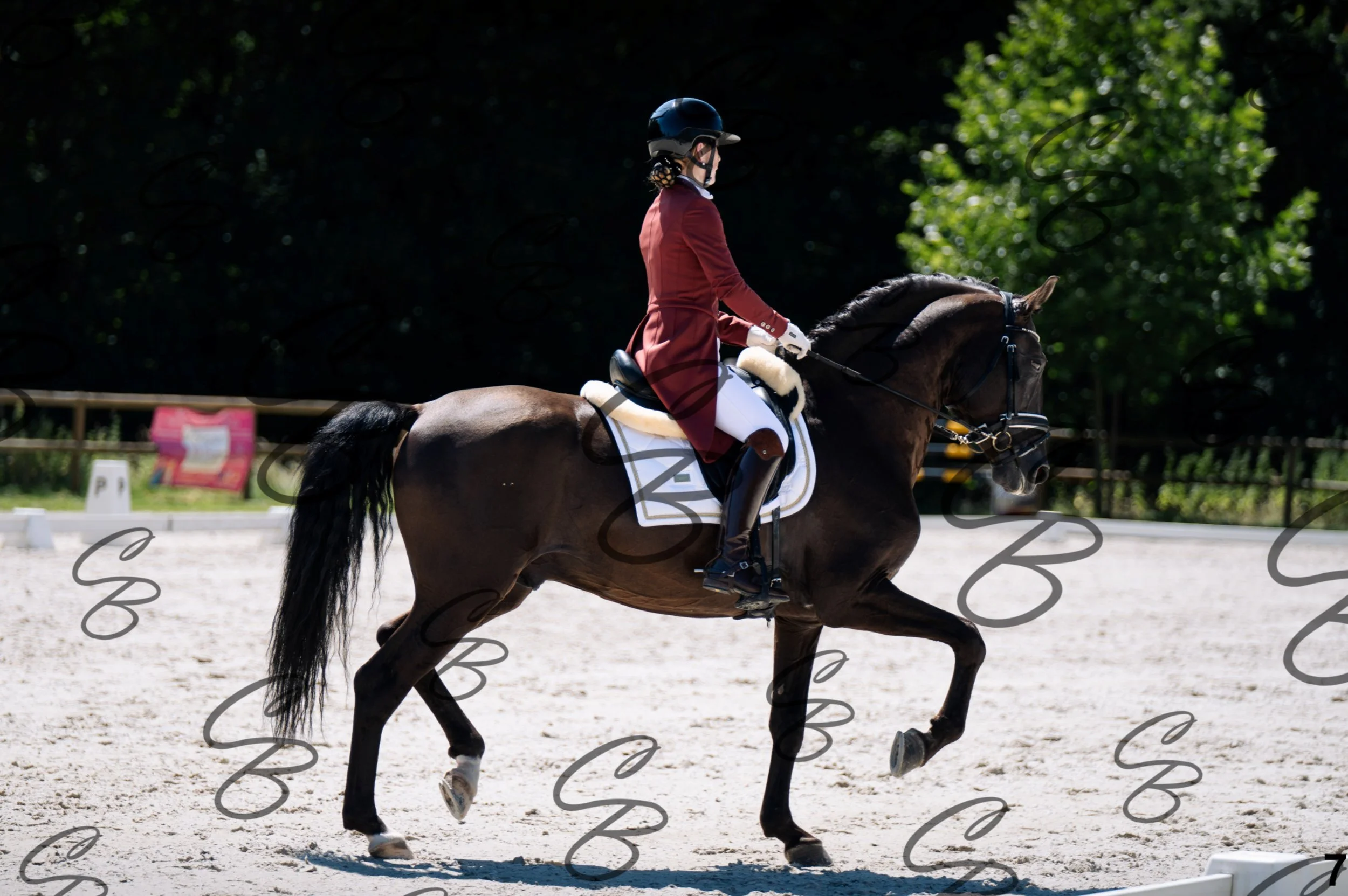 2026.07.11 - 13 Reyale - Niveau 6 - REYALE-7.jpg