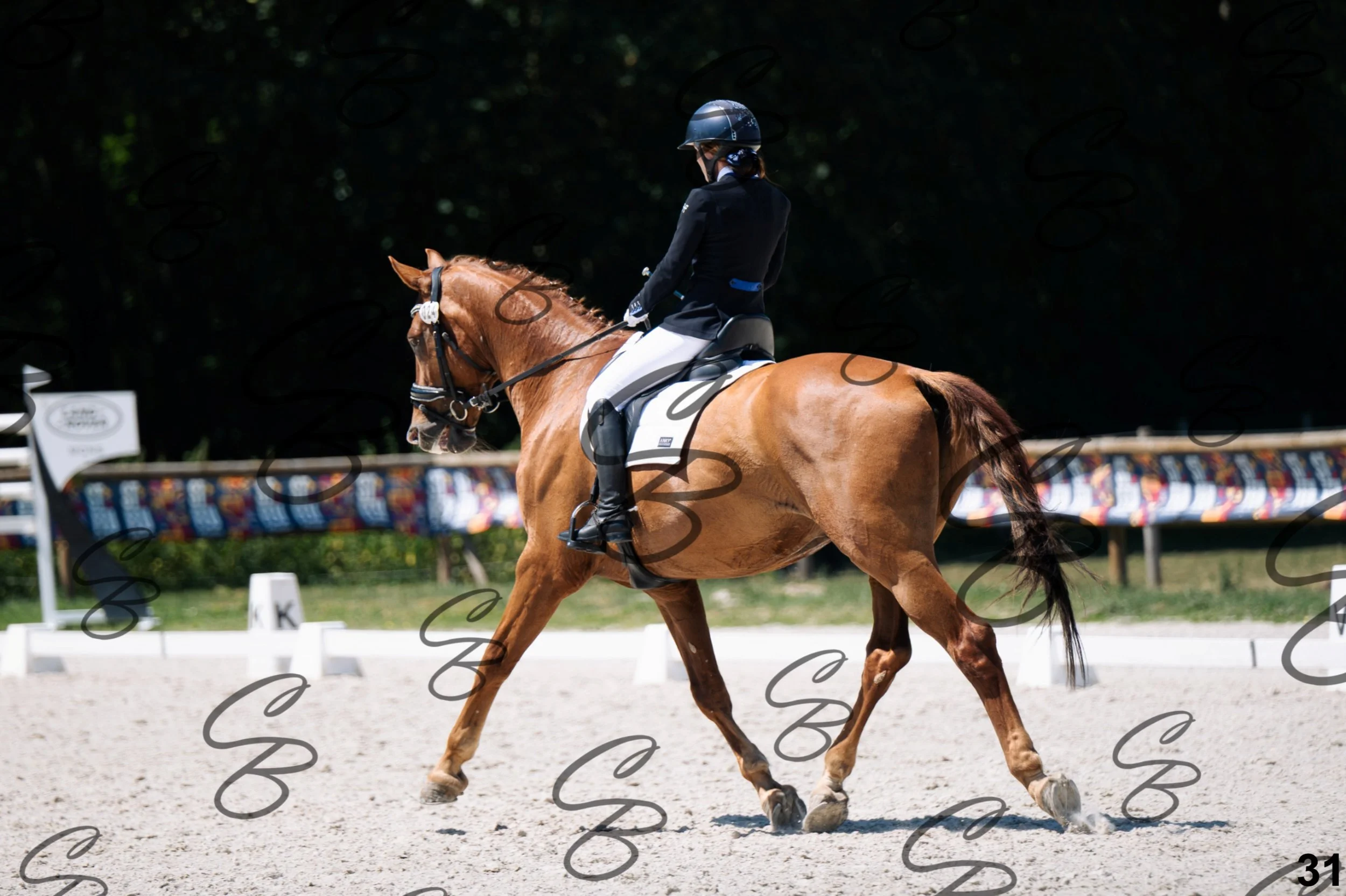 2026.07.12 - Niveau 5 - S3-31.jpg