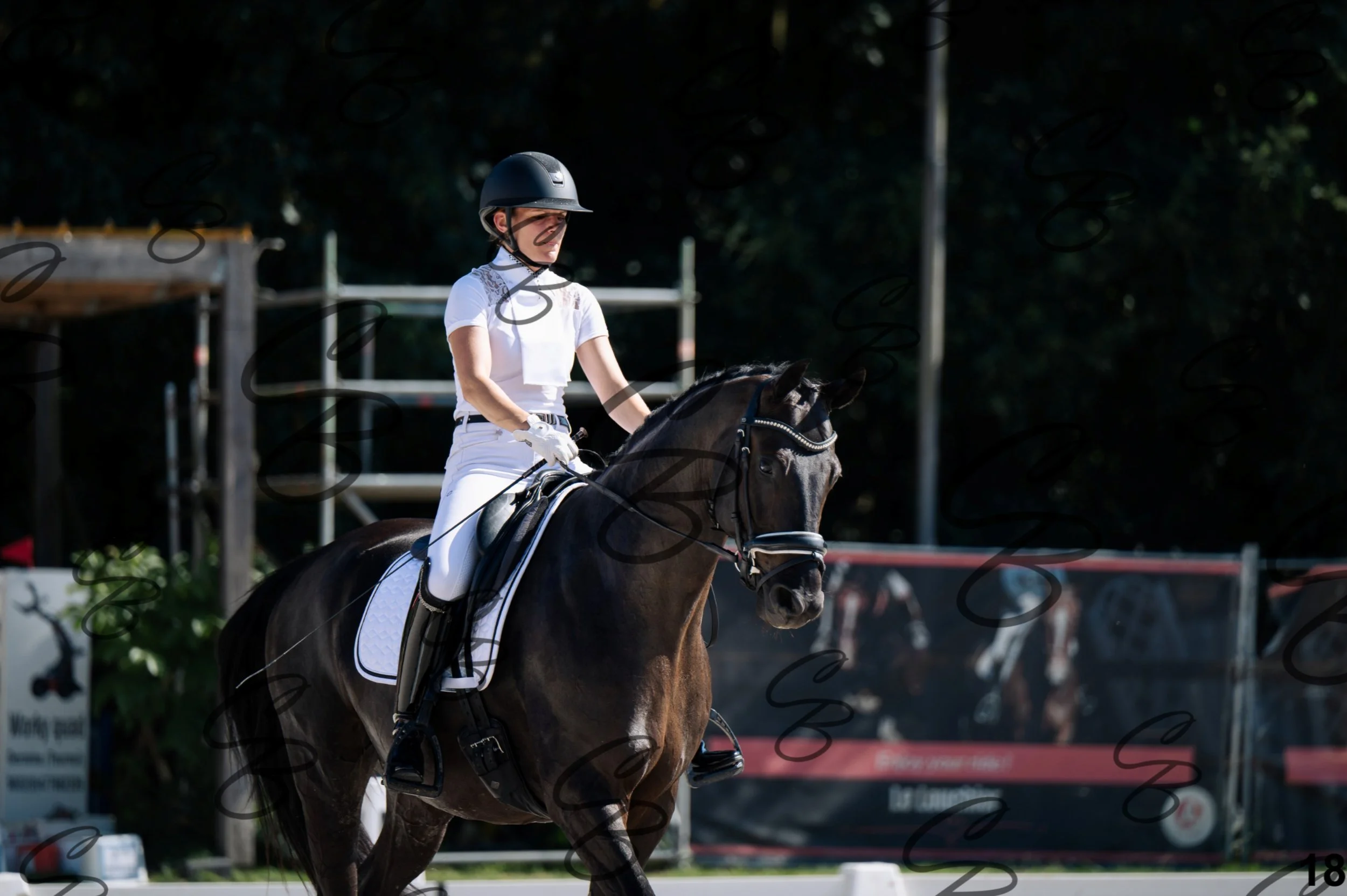 2026.07.12 - Jeunes chevaux - FEI 5YH Preliminary Test-18.jpg