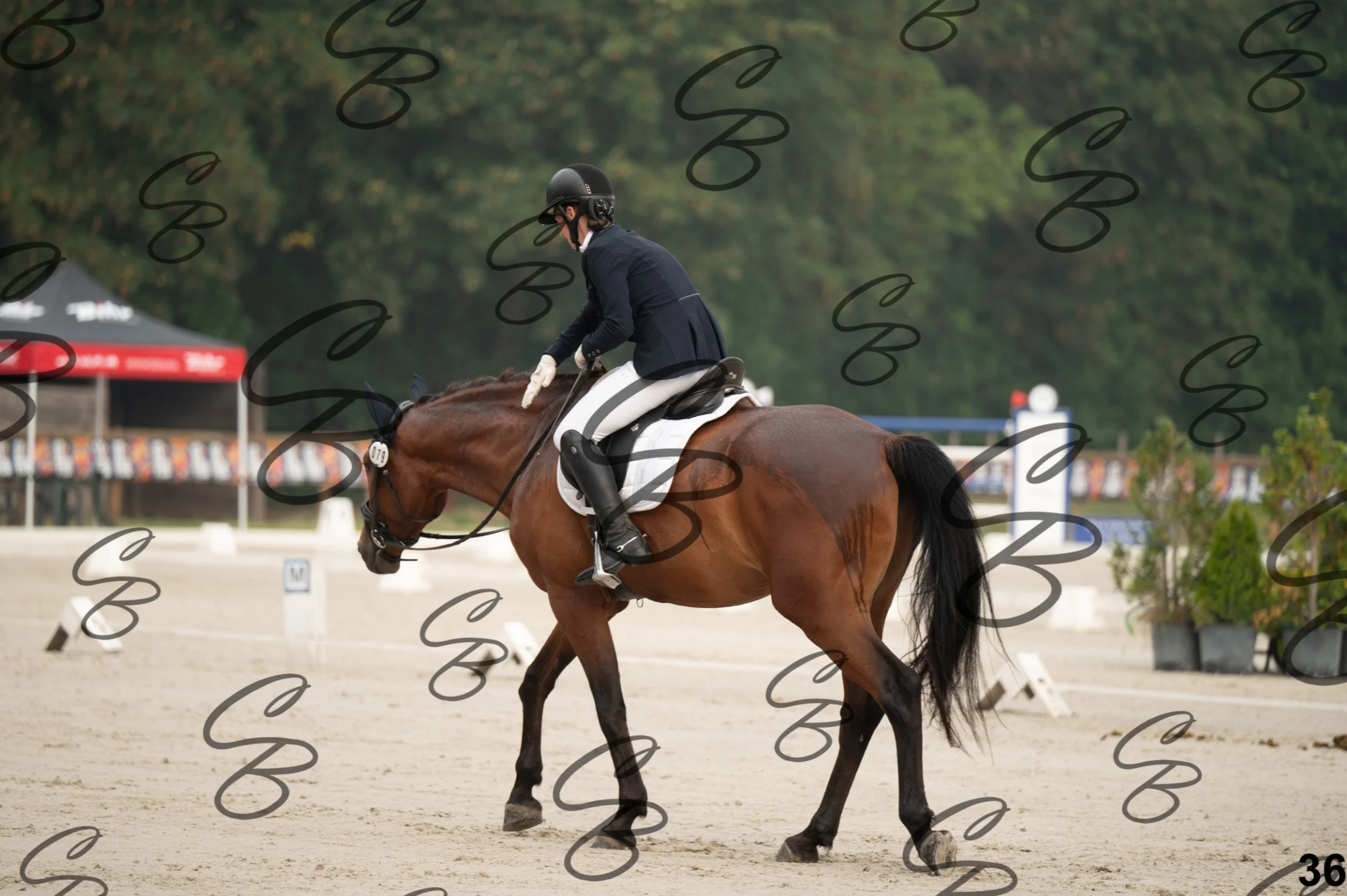 2026.08.15 - Louchier - GHO-59.jpg