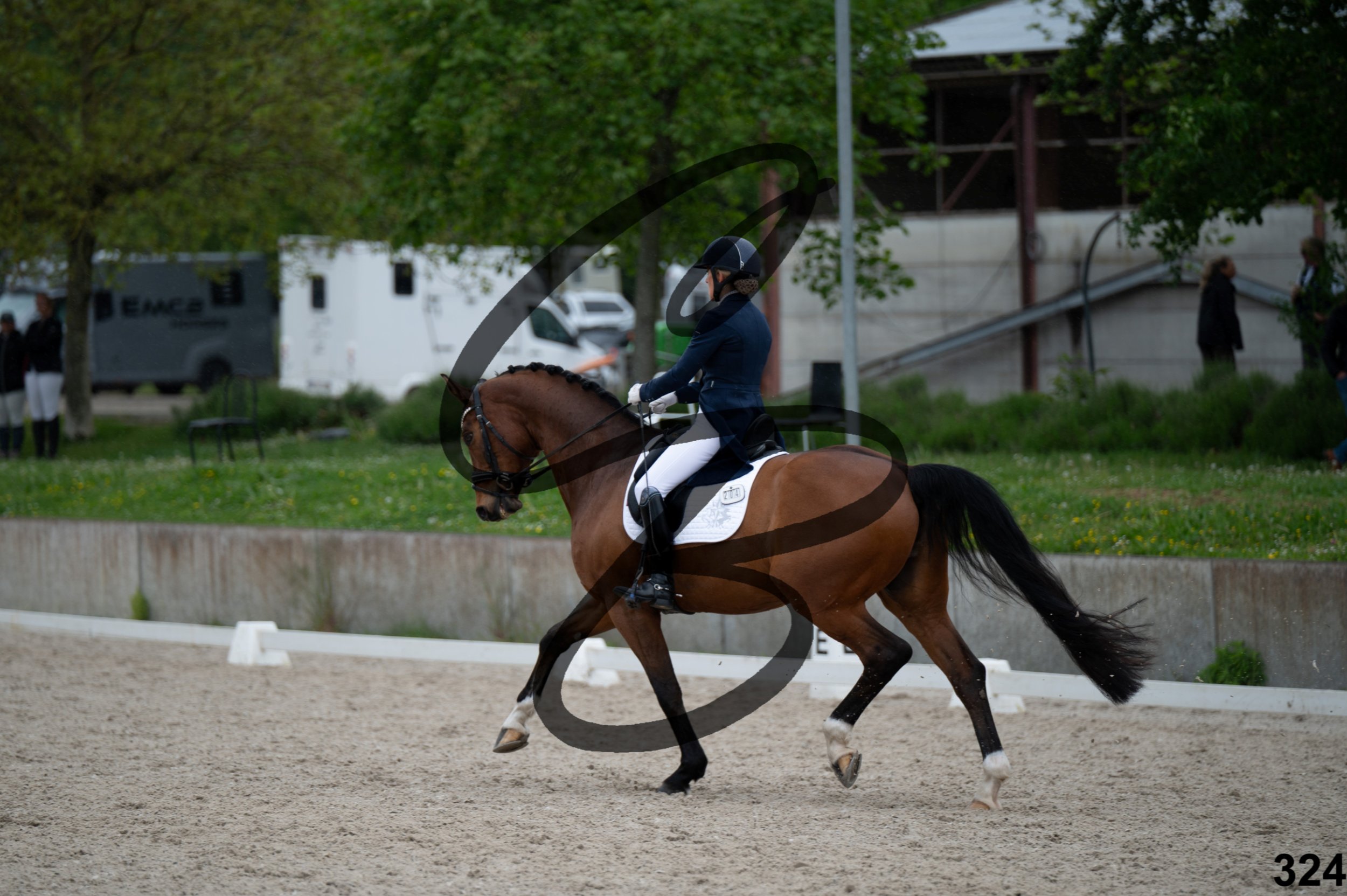 03052026-FLE_7636.jpg
