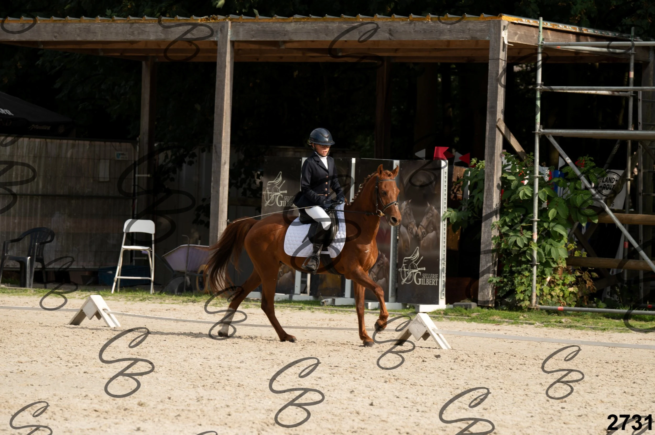 2026.08.16 - Louchier - GHO-37.jpg