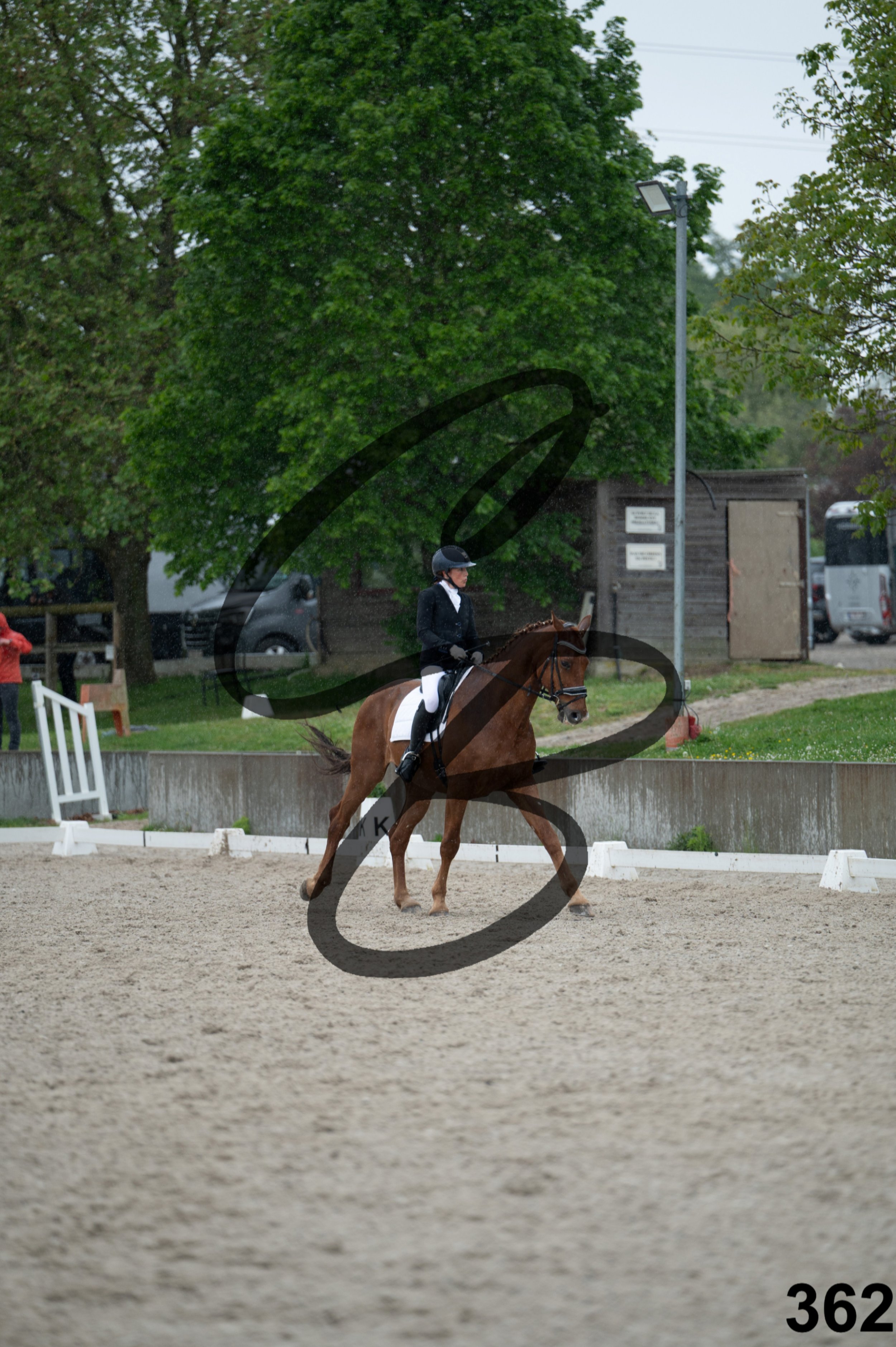 03052026-FLE_7833.jpg