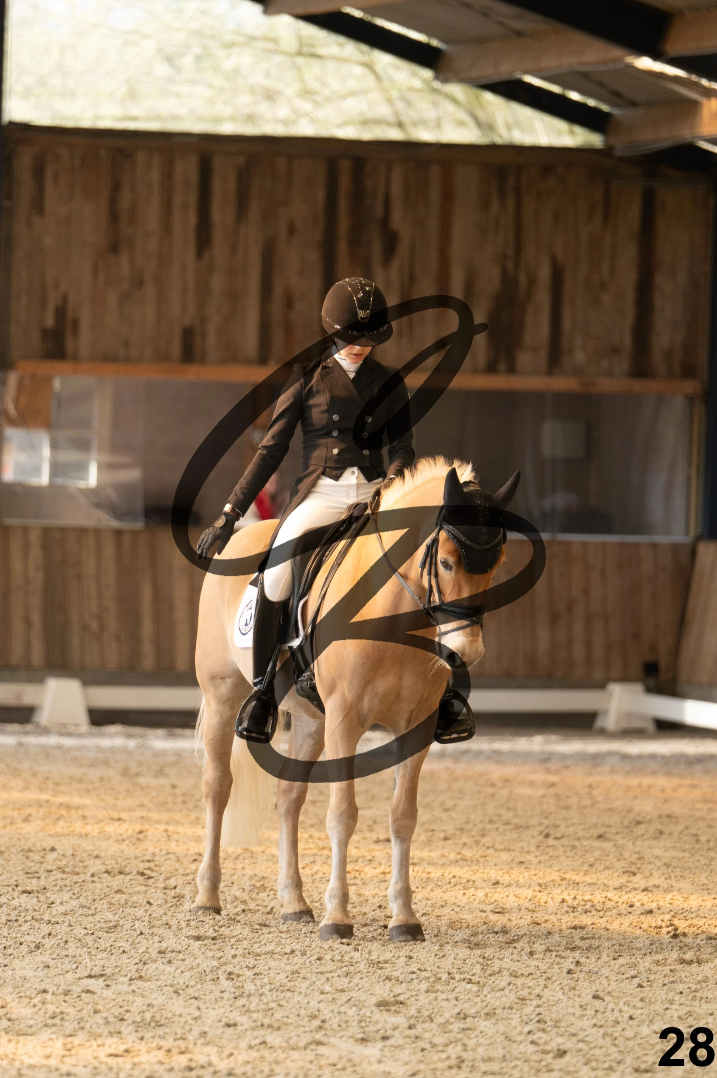 2026.03.22 - Niv4 - junior team test-28.jpg