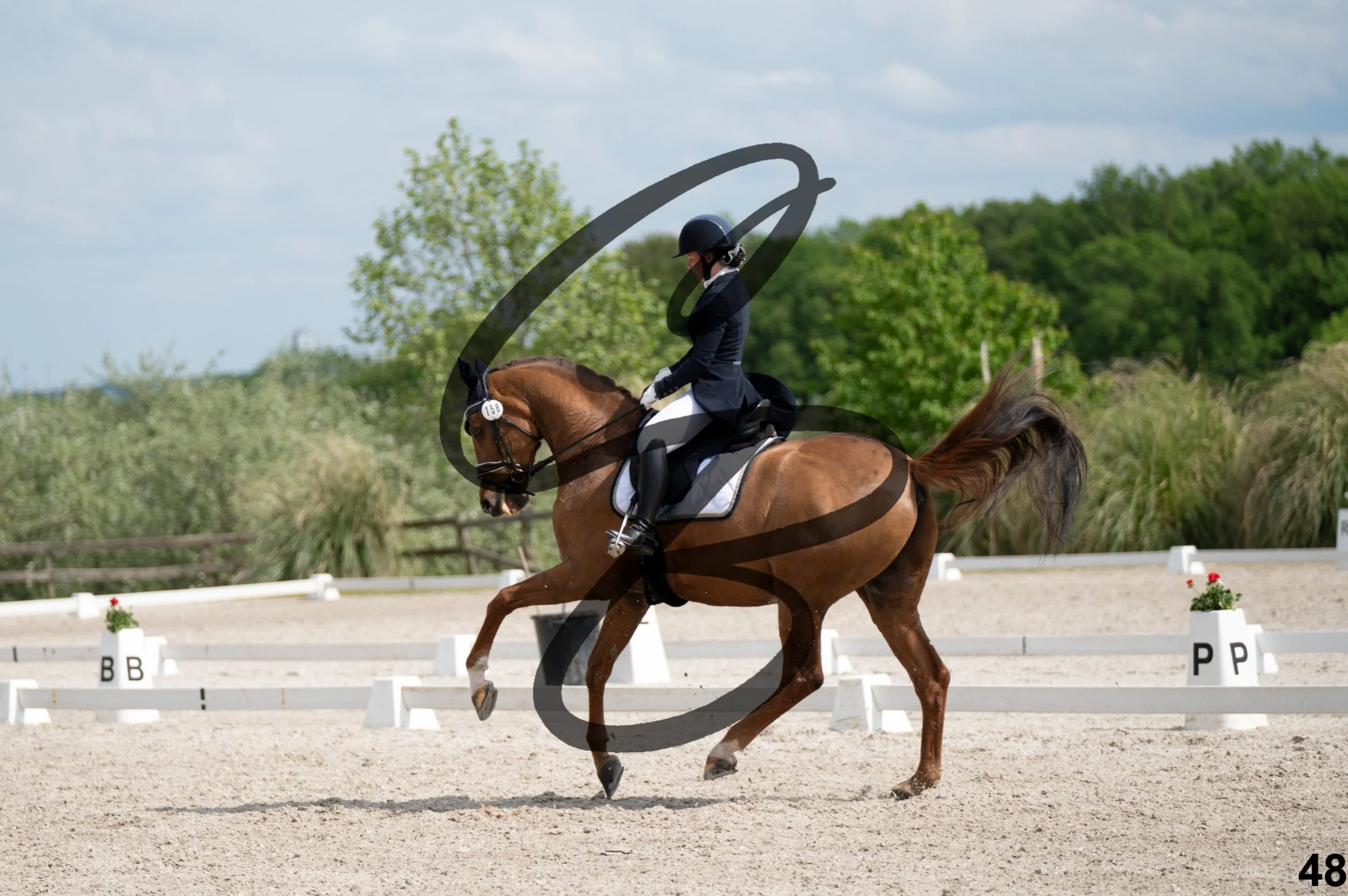 2026.05.02 - Djessy-31.jpg