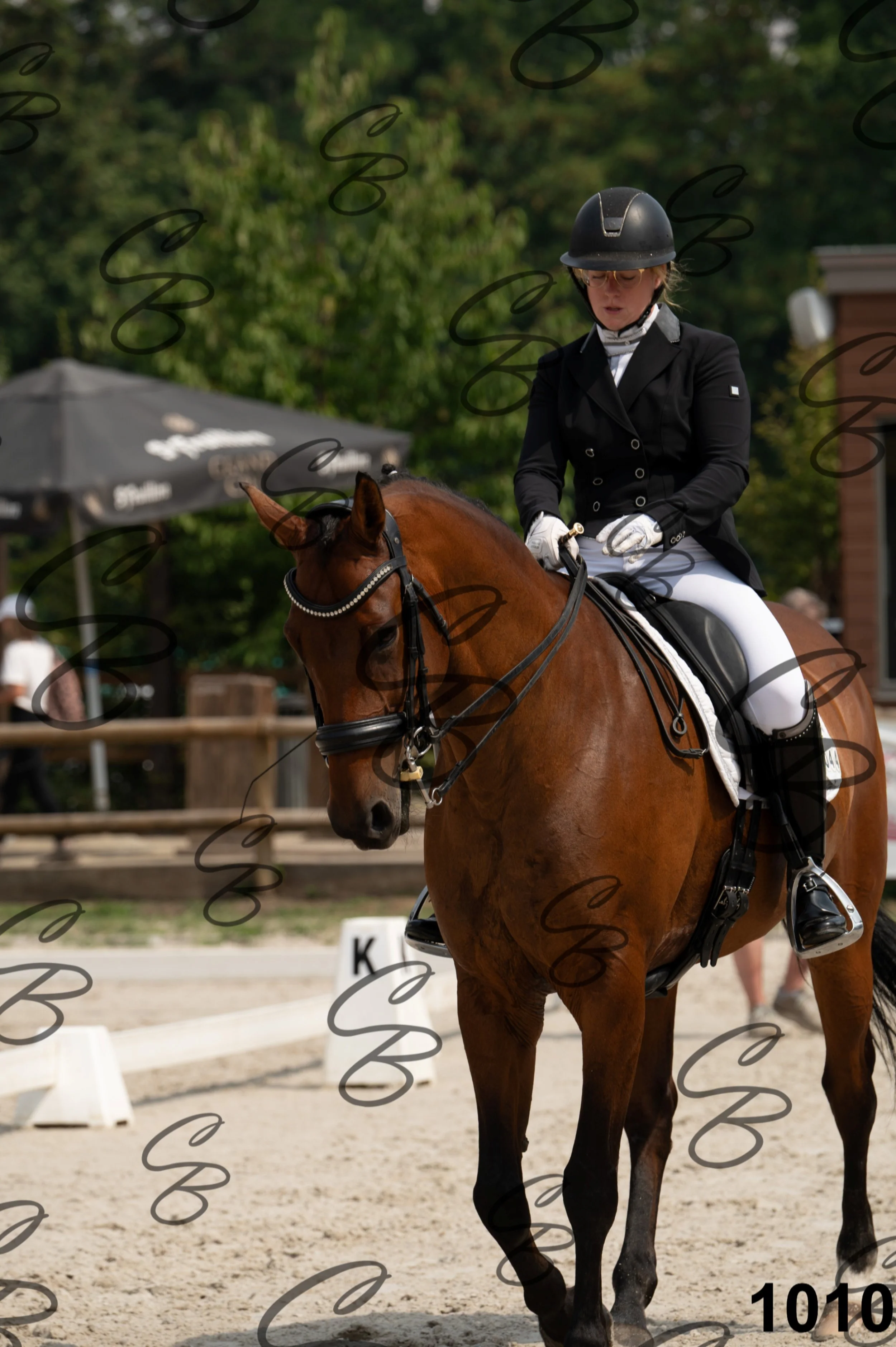 2026.08.15 - Louchier - GHO-1130.jpg