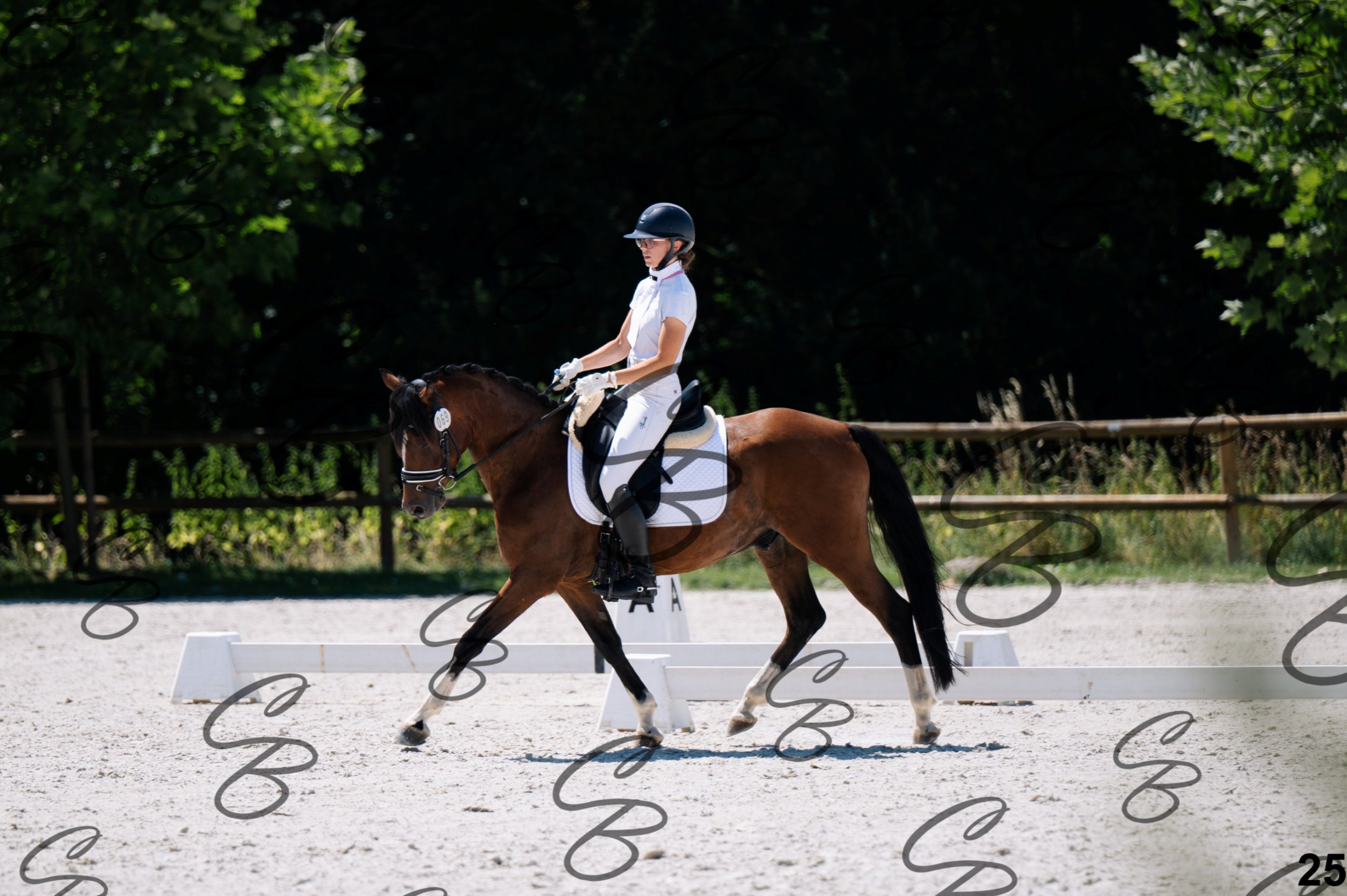 2026.07.12 - Niveau 1 - N1.5-25.jpg