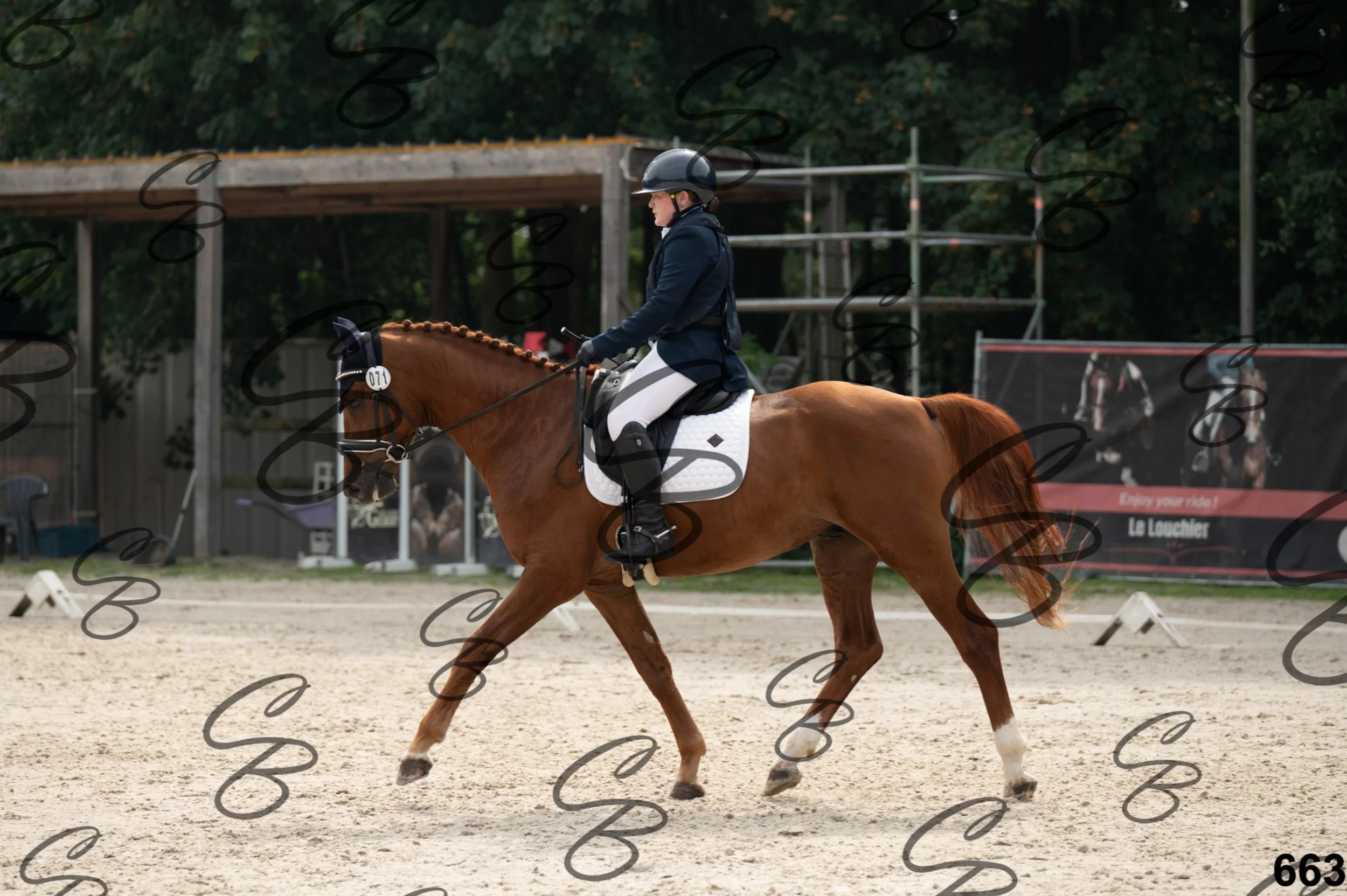 2026.08.15 - Louchier - GHO-763.jpg