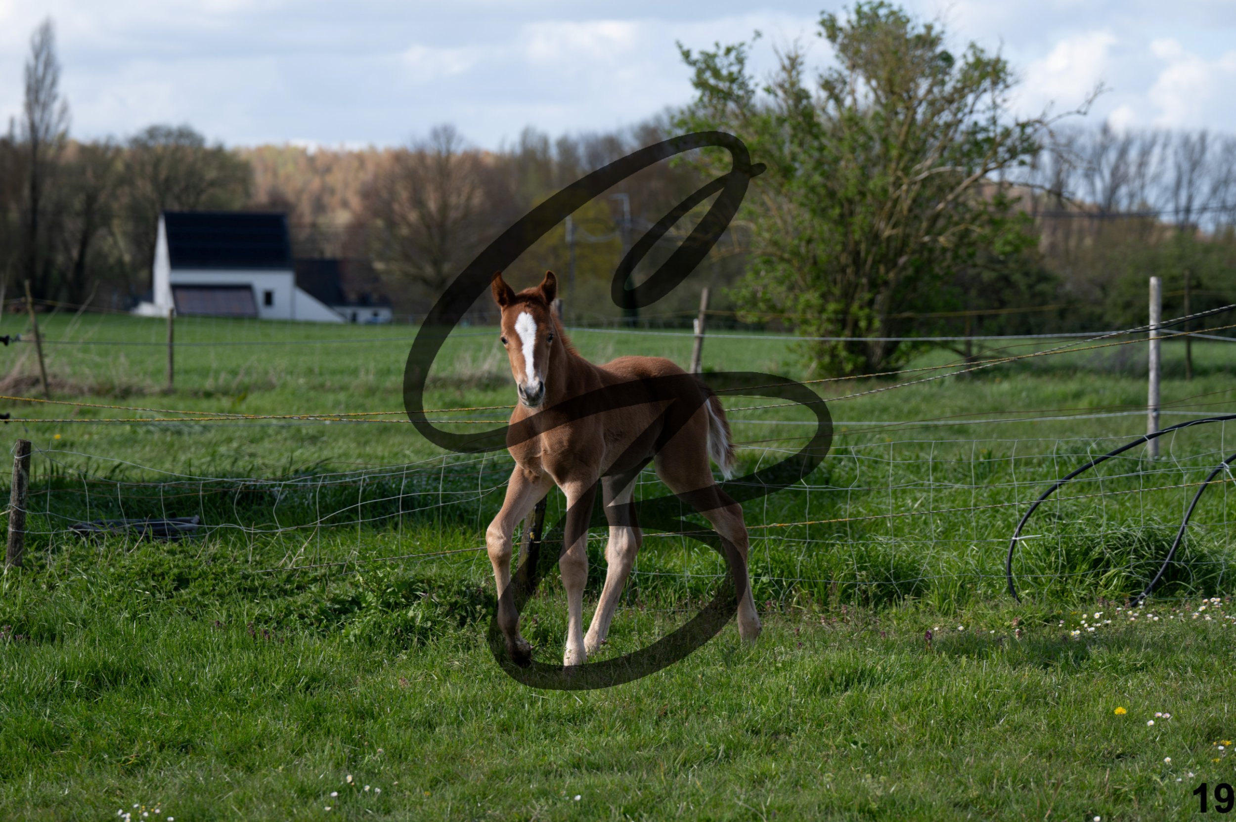 2026.03.28 - Galerie photo - shooting concours-22.jpg