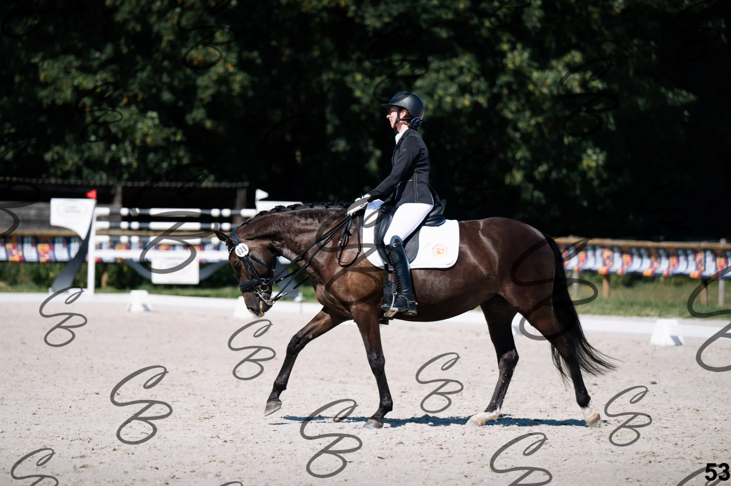 2026.07.12 - Niveau 4 - N4.3-53.jpg