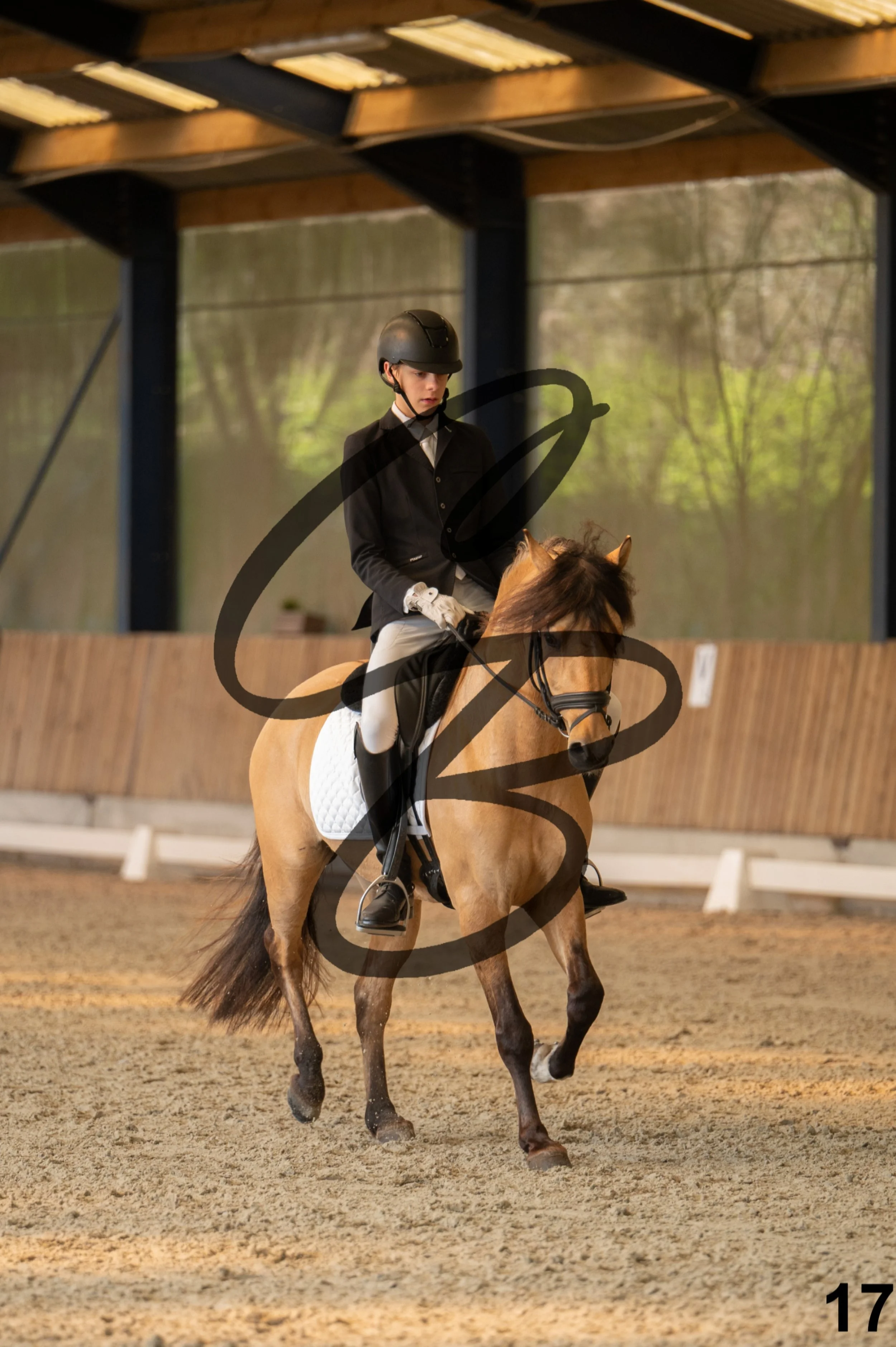 2026.03.22 - Niv3 - pony team test-17.jpg