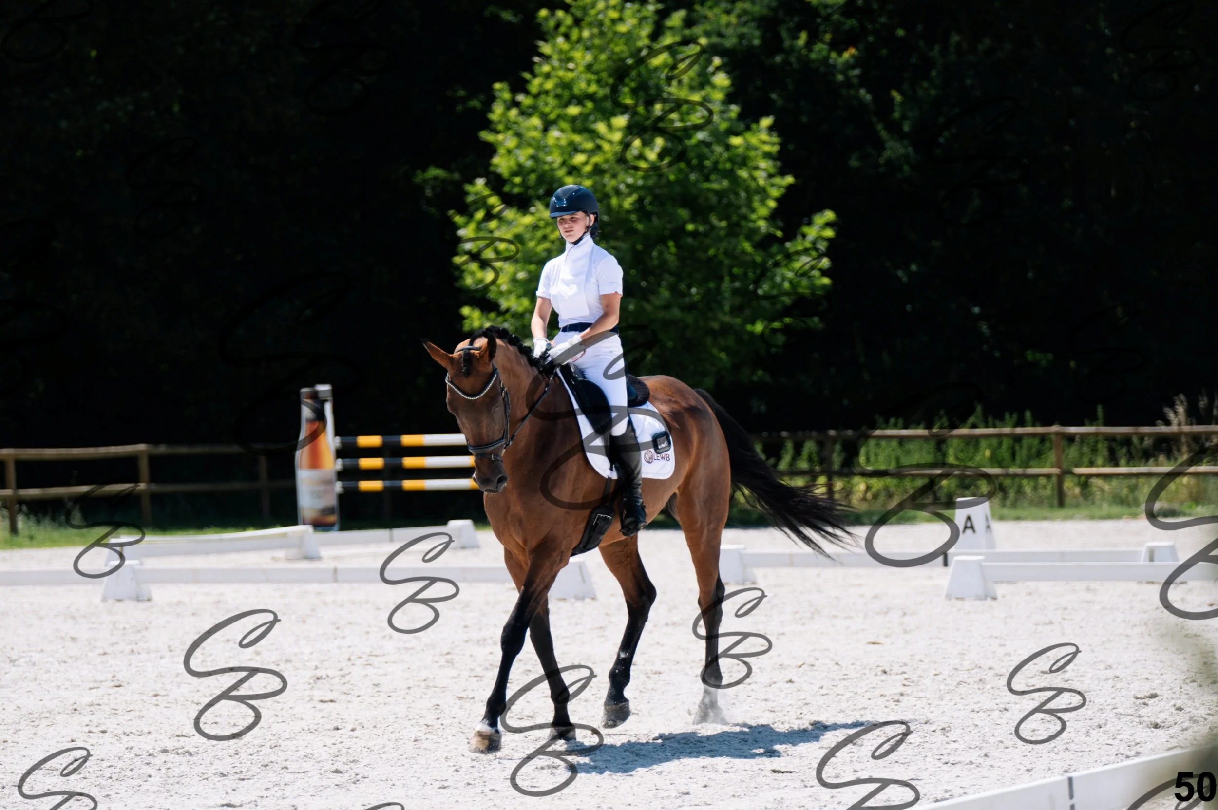 2026.07.12 - Niveau 1 - N1.5-50.jpg