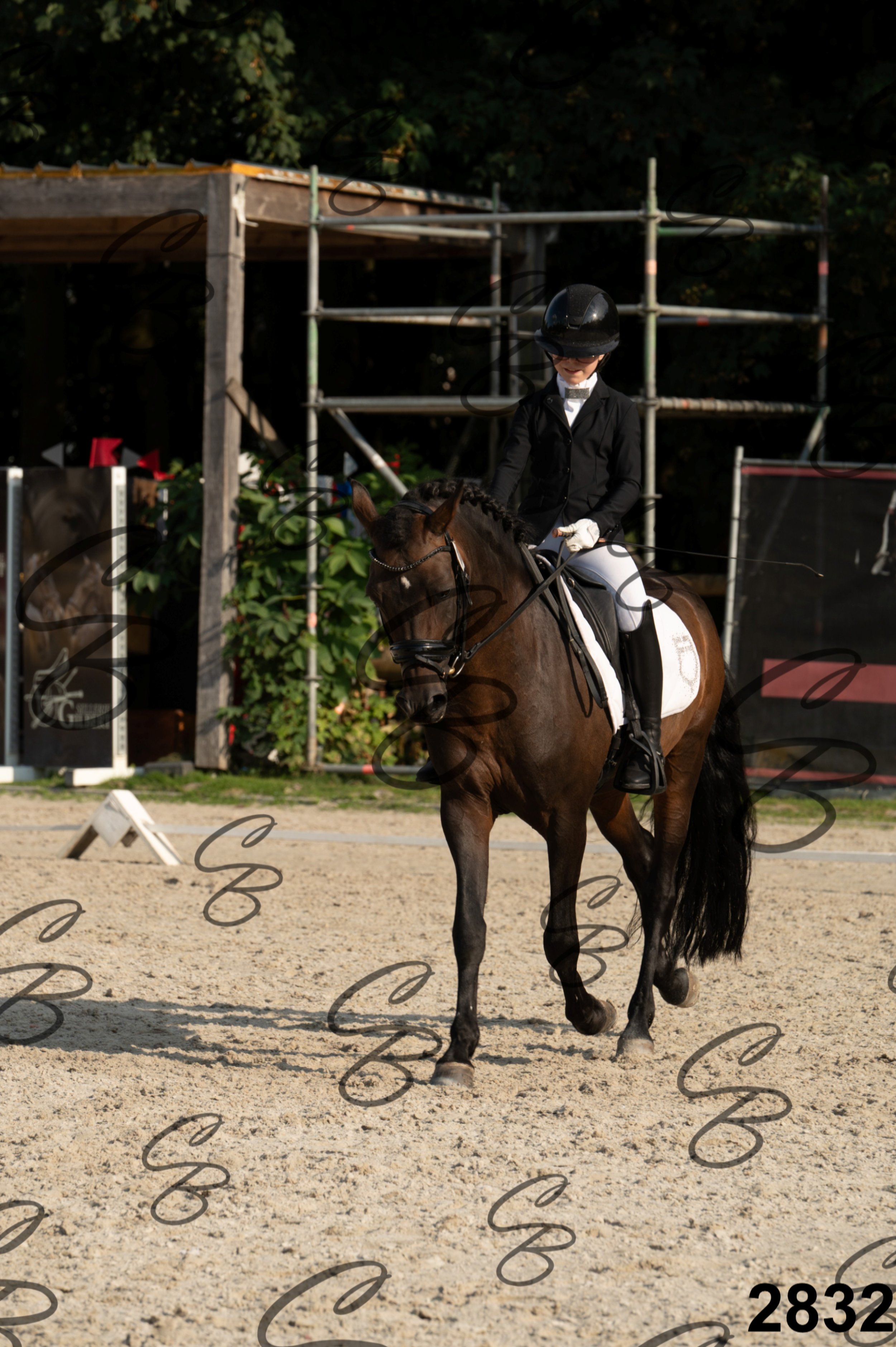 2026.08.16 - Louchier - GHO-138.jpg