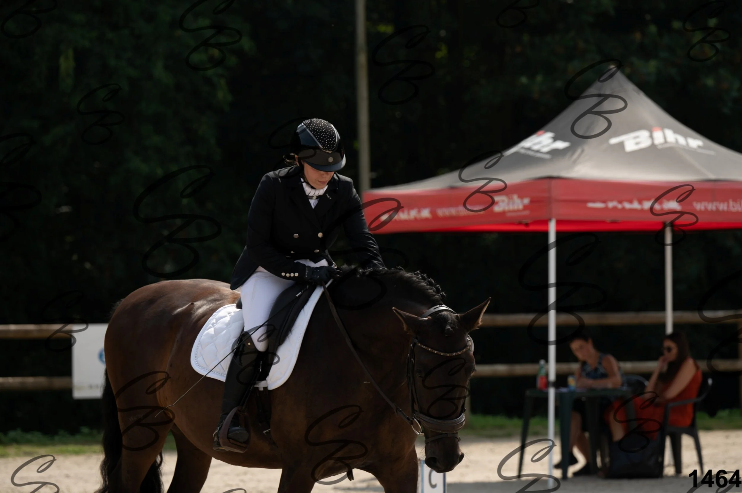 2026.08.15 - Louchier - GHO-1651.jpg