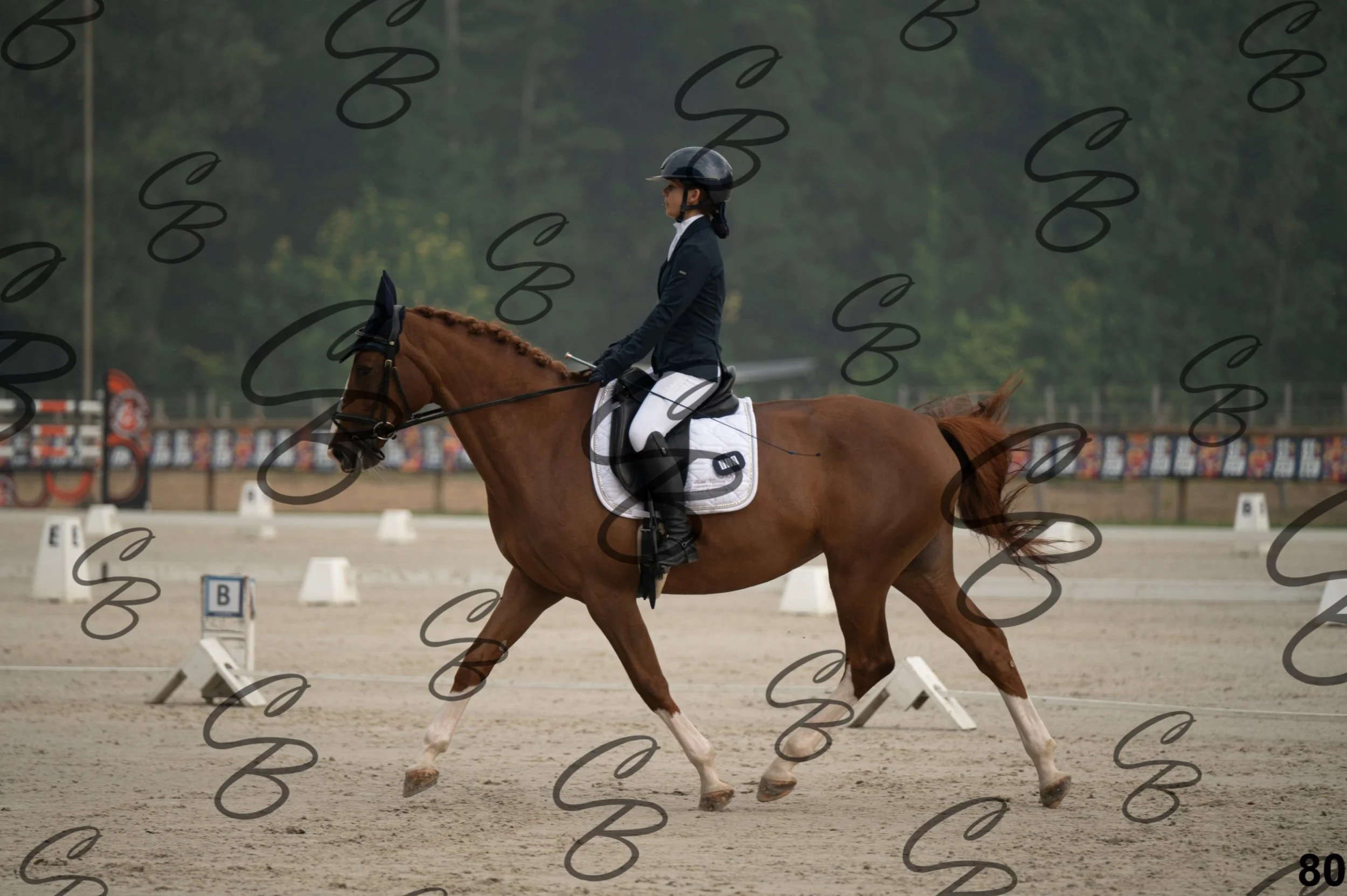 2026.08.15 - Louchier - GHO-117.jpg