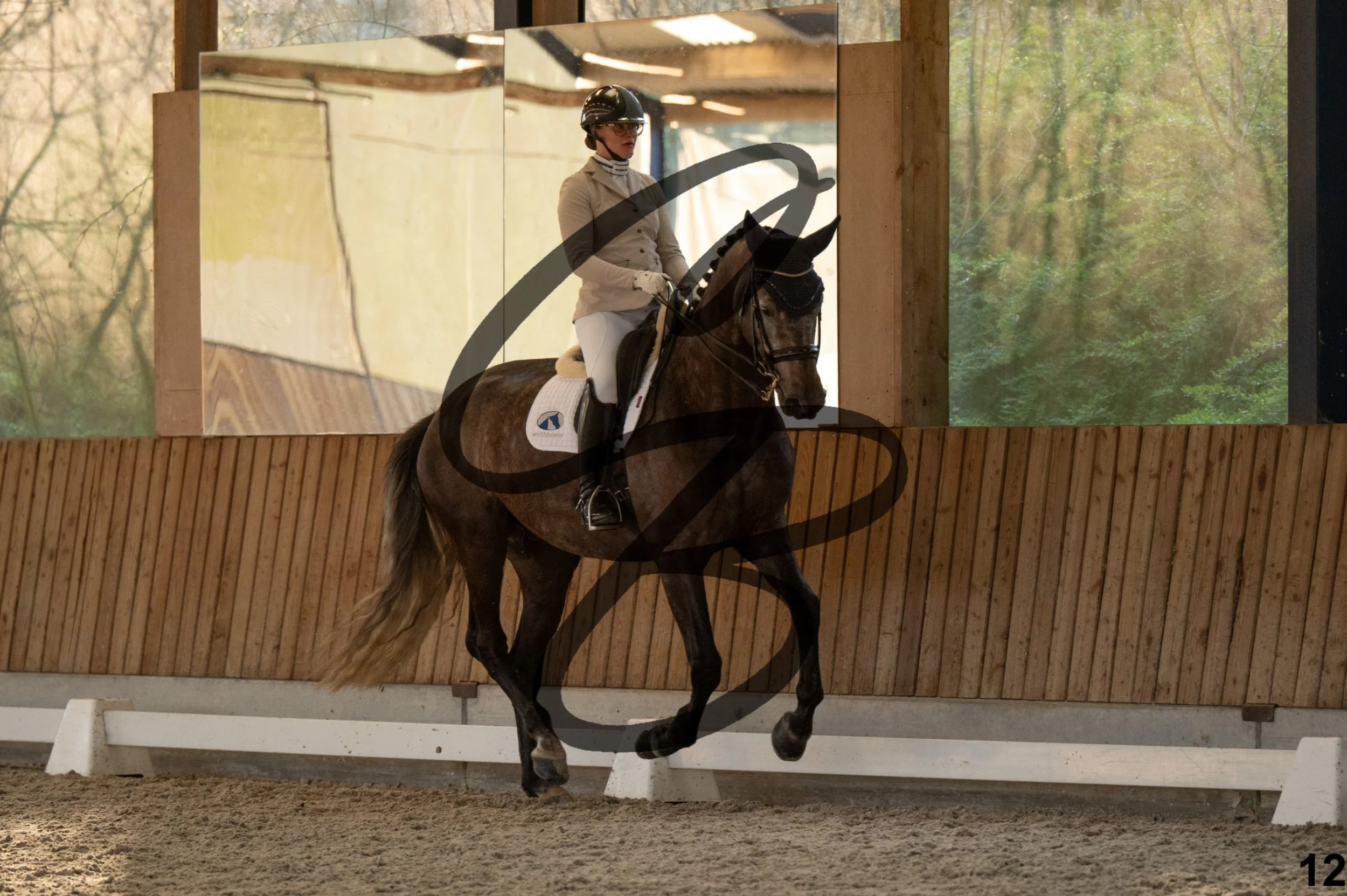 2026.03.22 - niv4.2-12.jpg