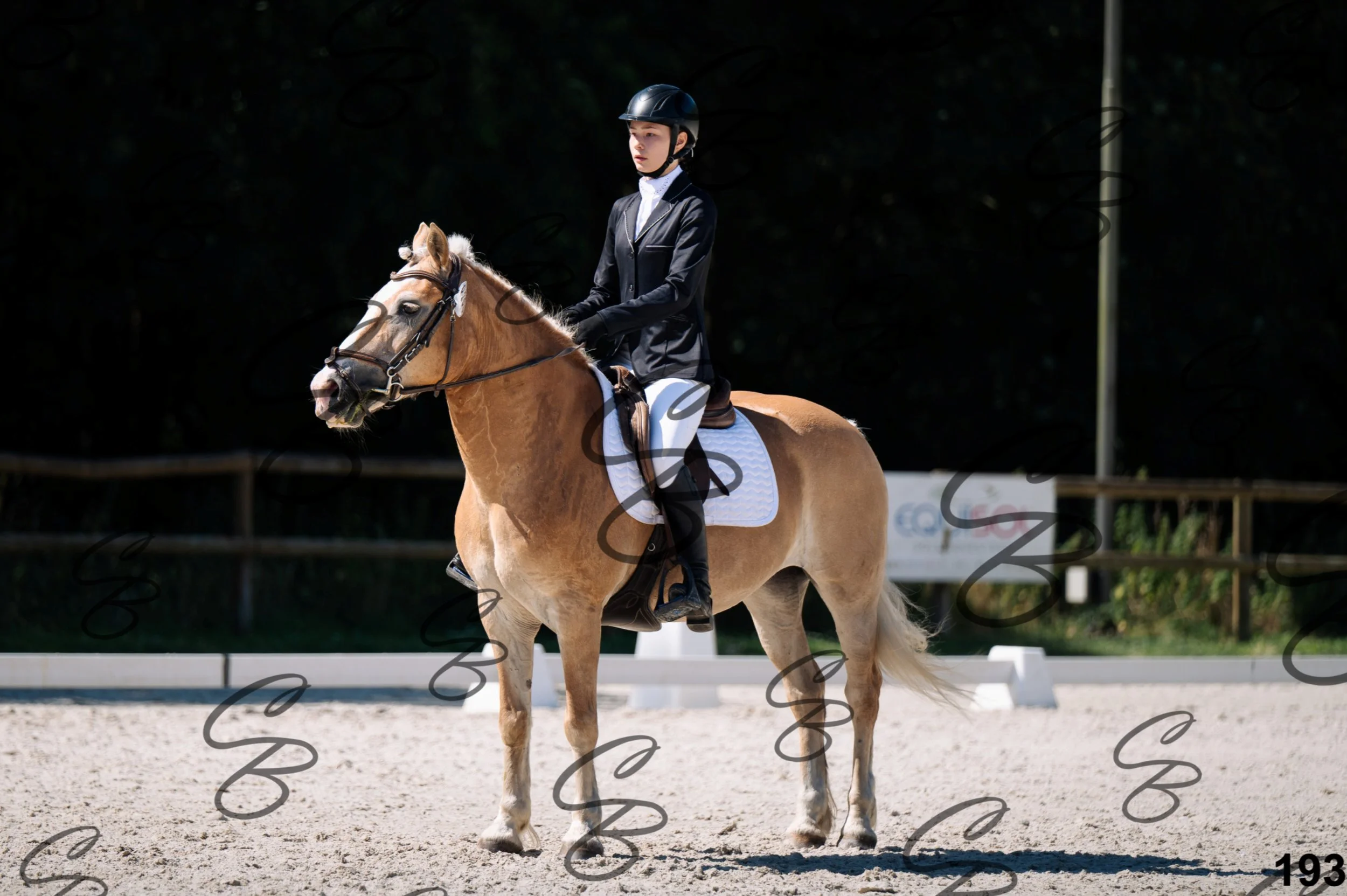 2026.07.12 -106 Niveau Initiation Poneys - Ini.6-10.jpg