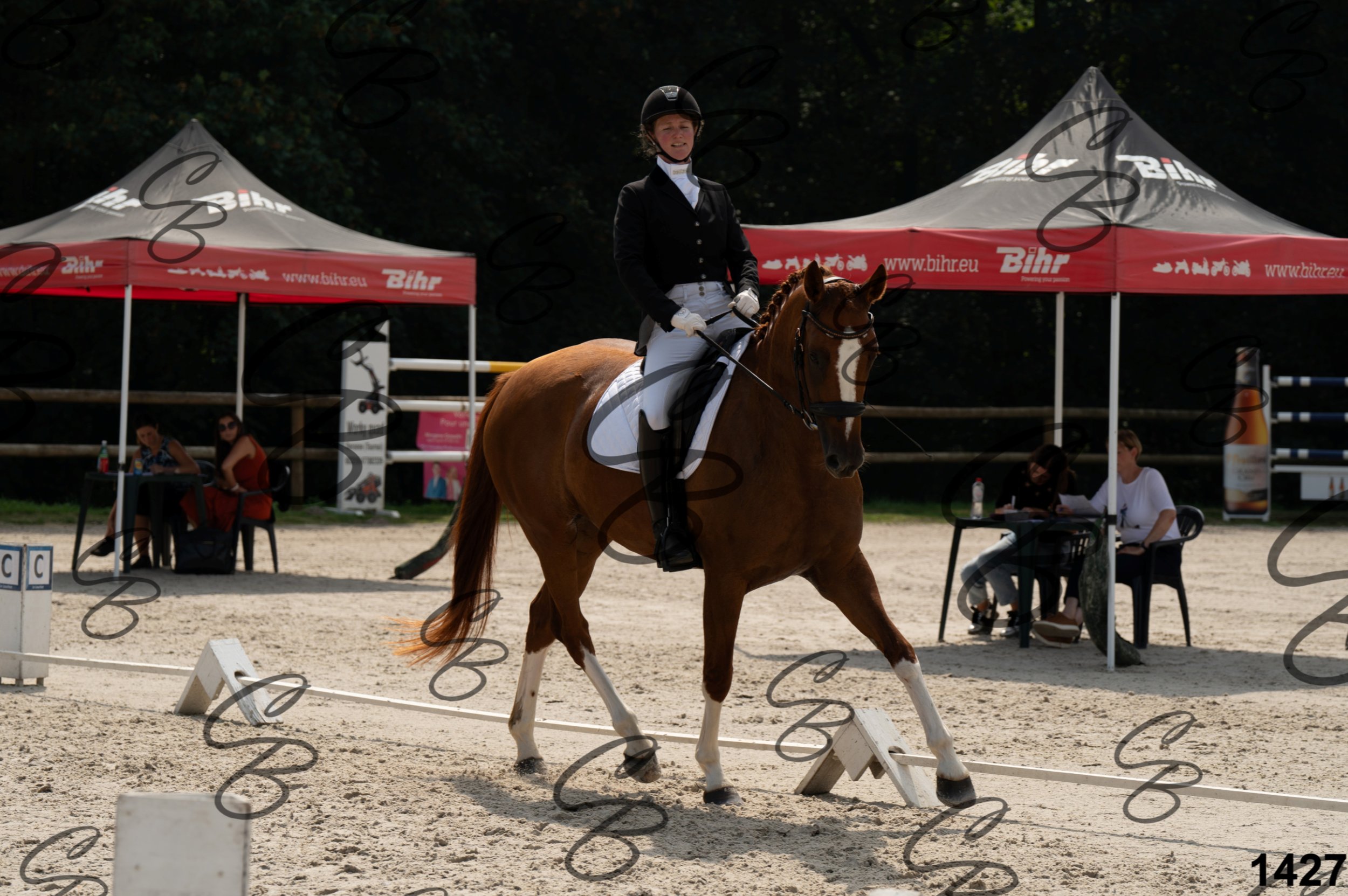 2026.08.15 - Louchier - GHO-1530.jpg