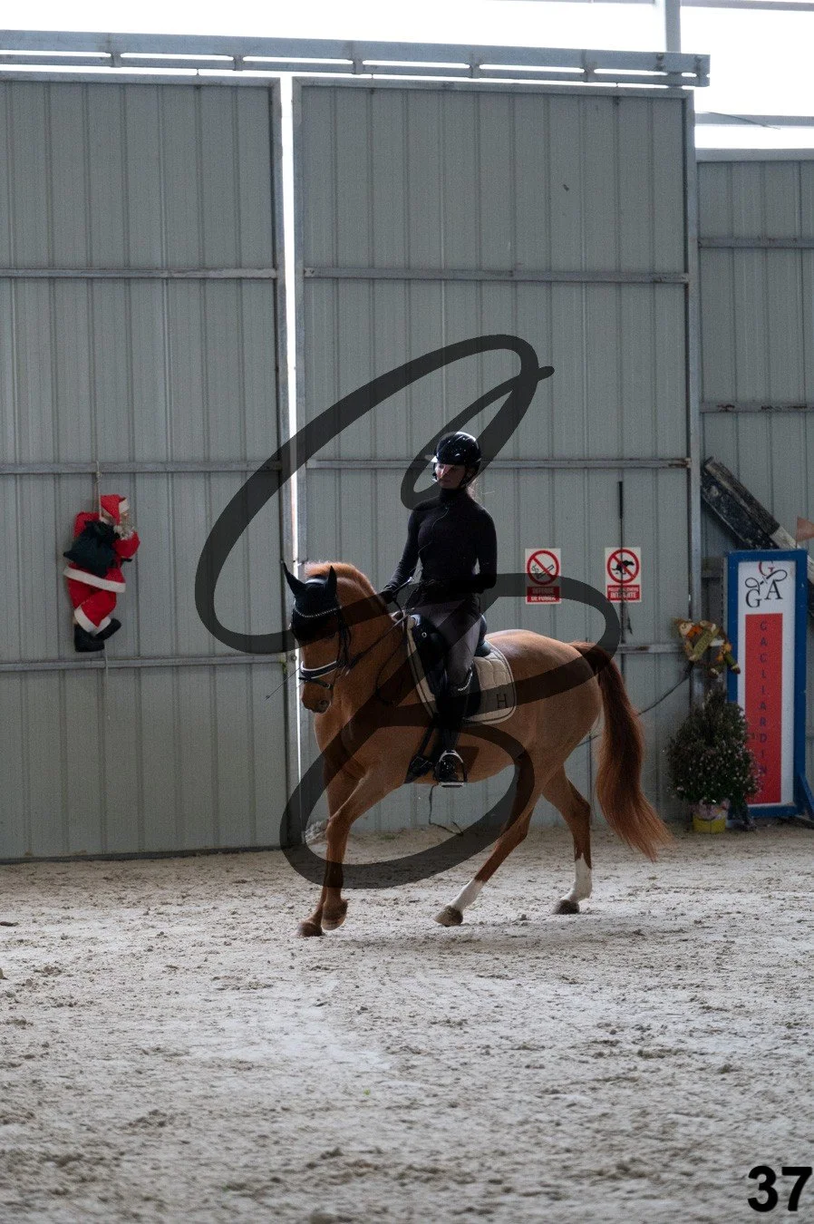 2025.12.06 - Manon&Mexx-37.jpg
