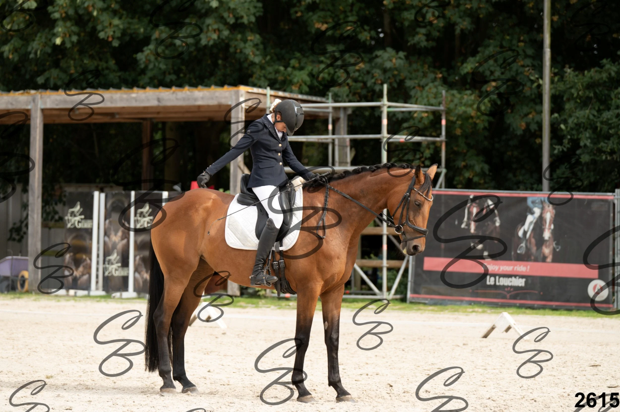 16082026-CLA_8323.jpg