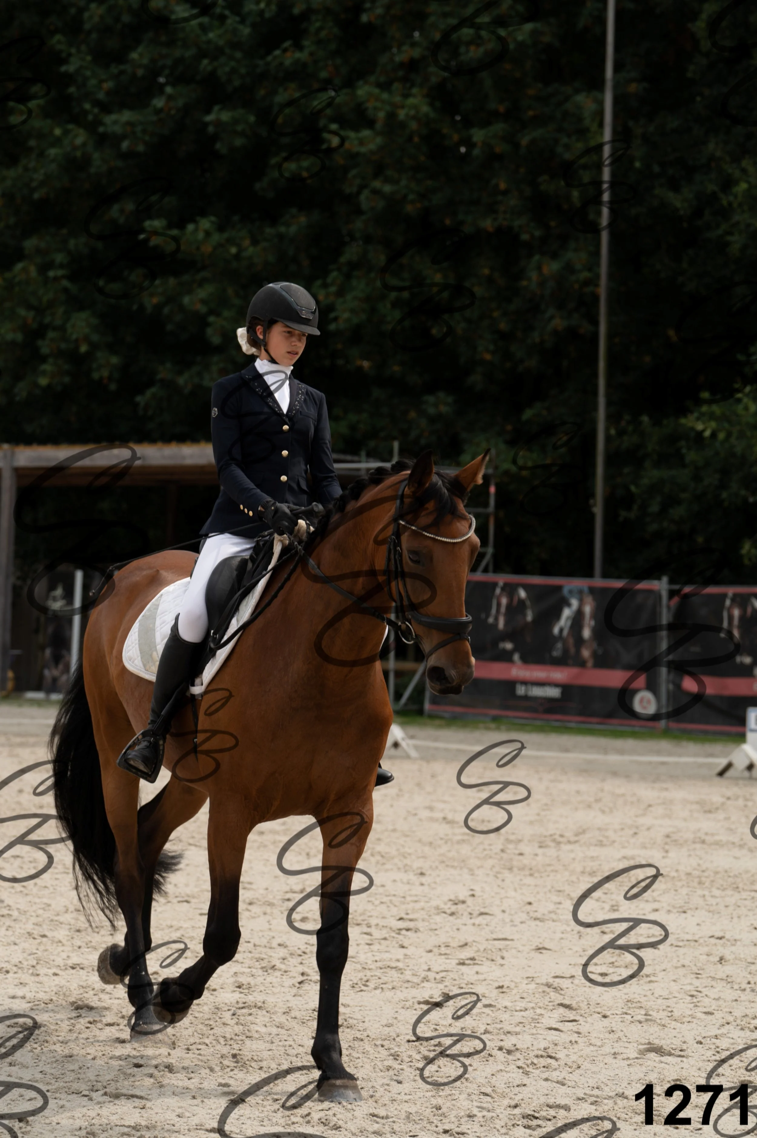 2026.08.16 - Louchier - GHO-55.jpg