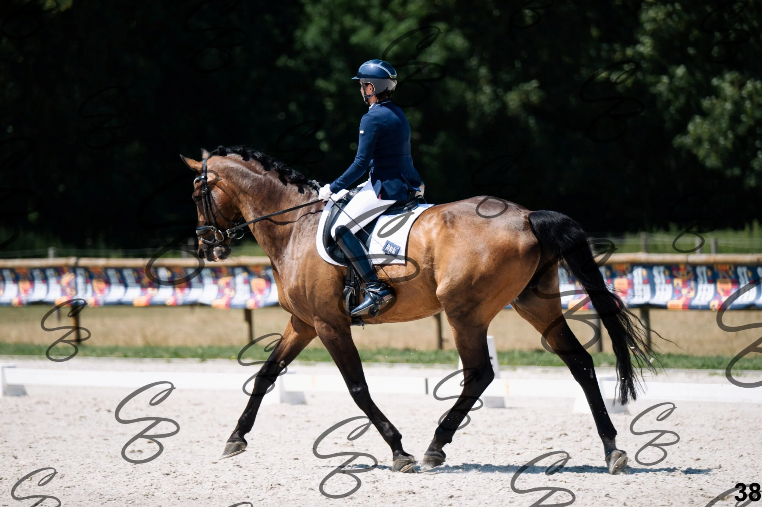 2026.07.12 - Niveau 5 - S3-38.jpg