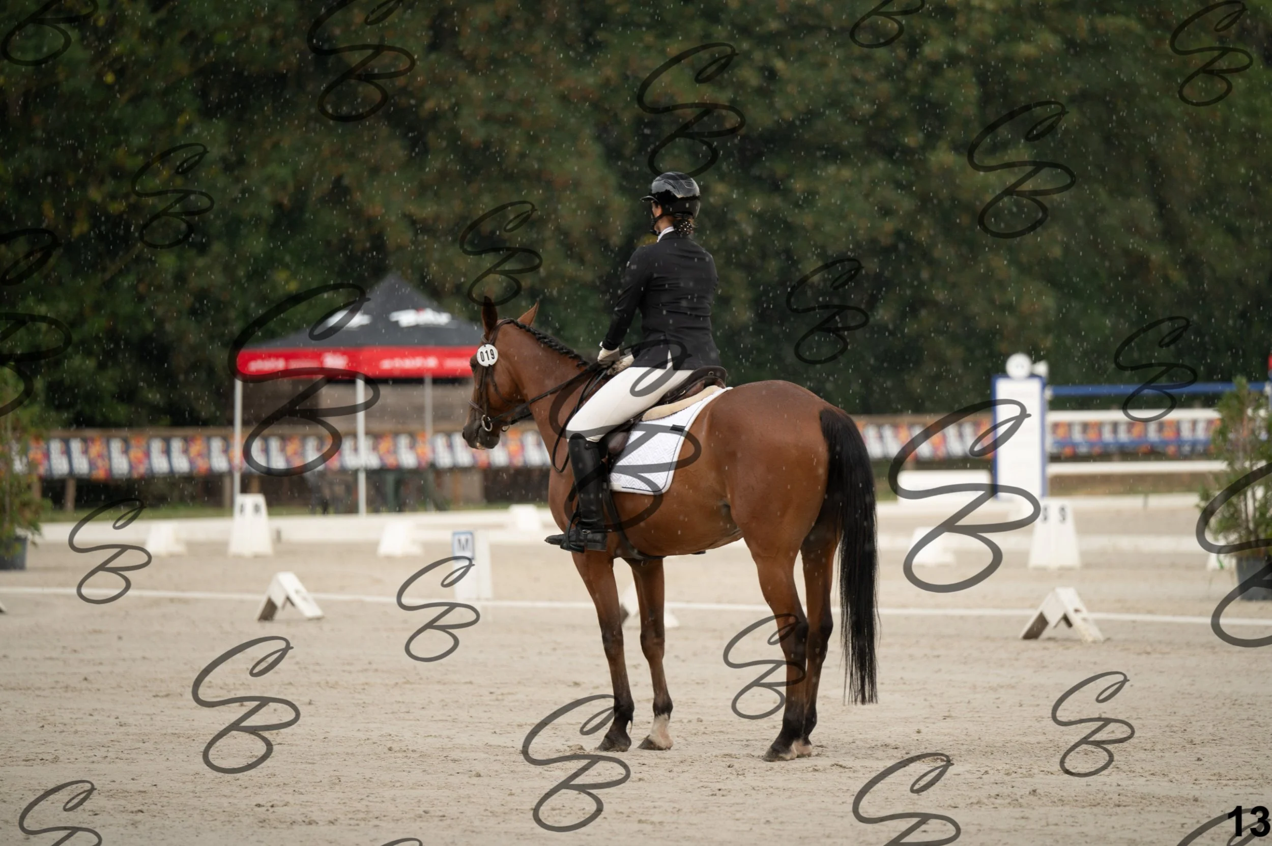 2026.08.15 - Louchier - GHO-29.jpg
