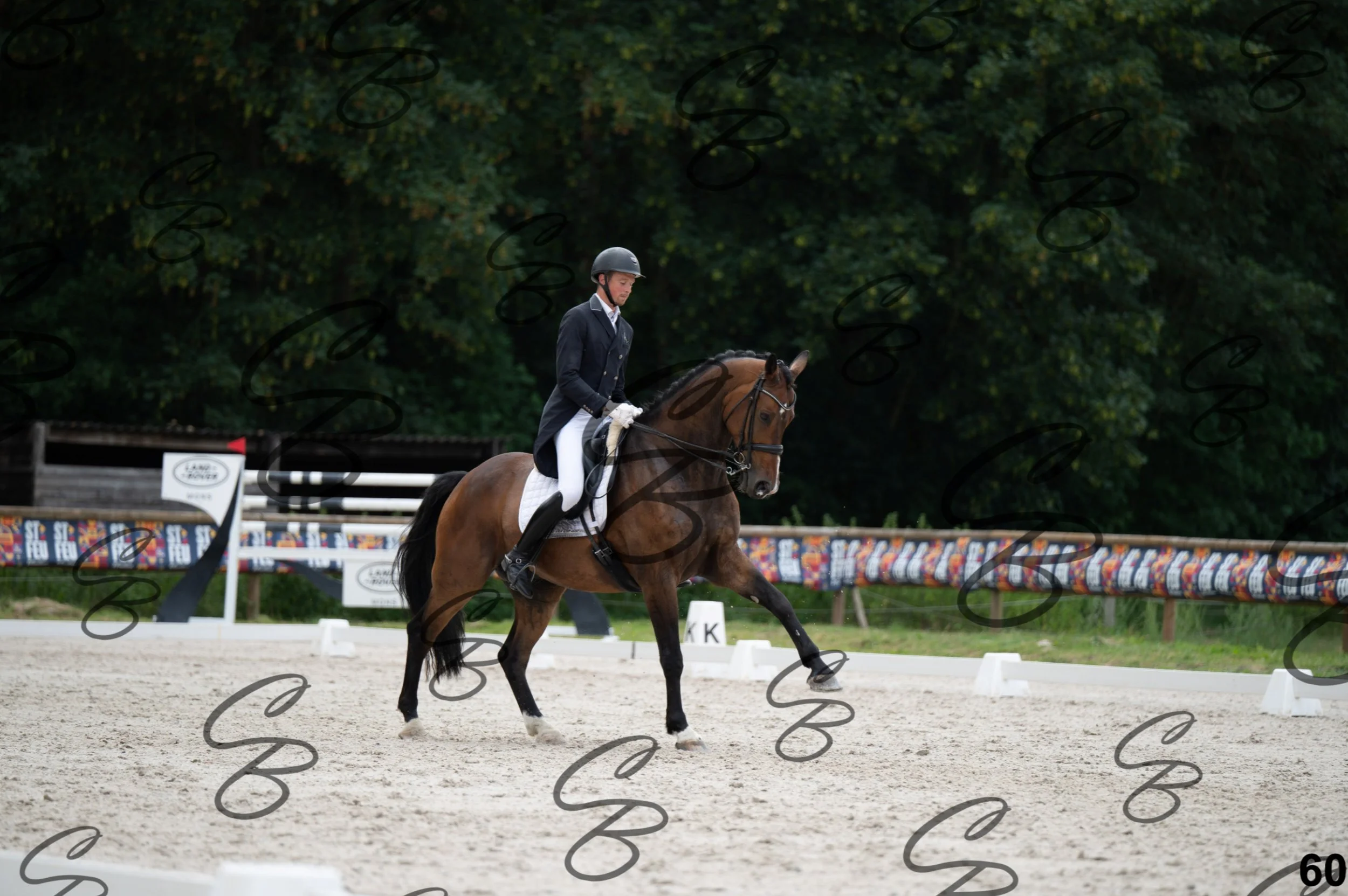 2026.07.04 - 4 Woutter D'hHoore-15.jpg